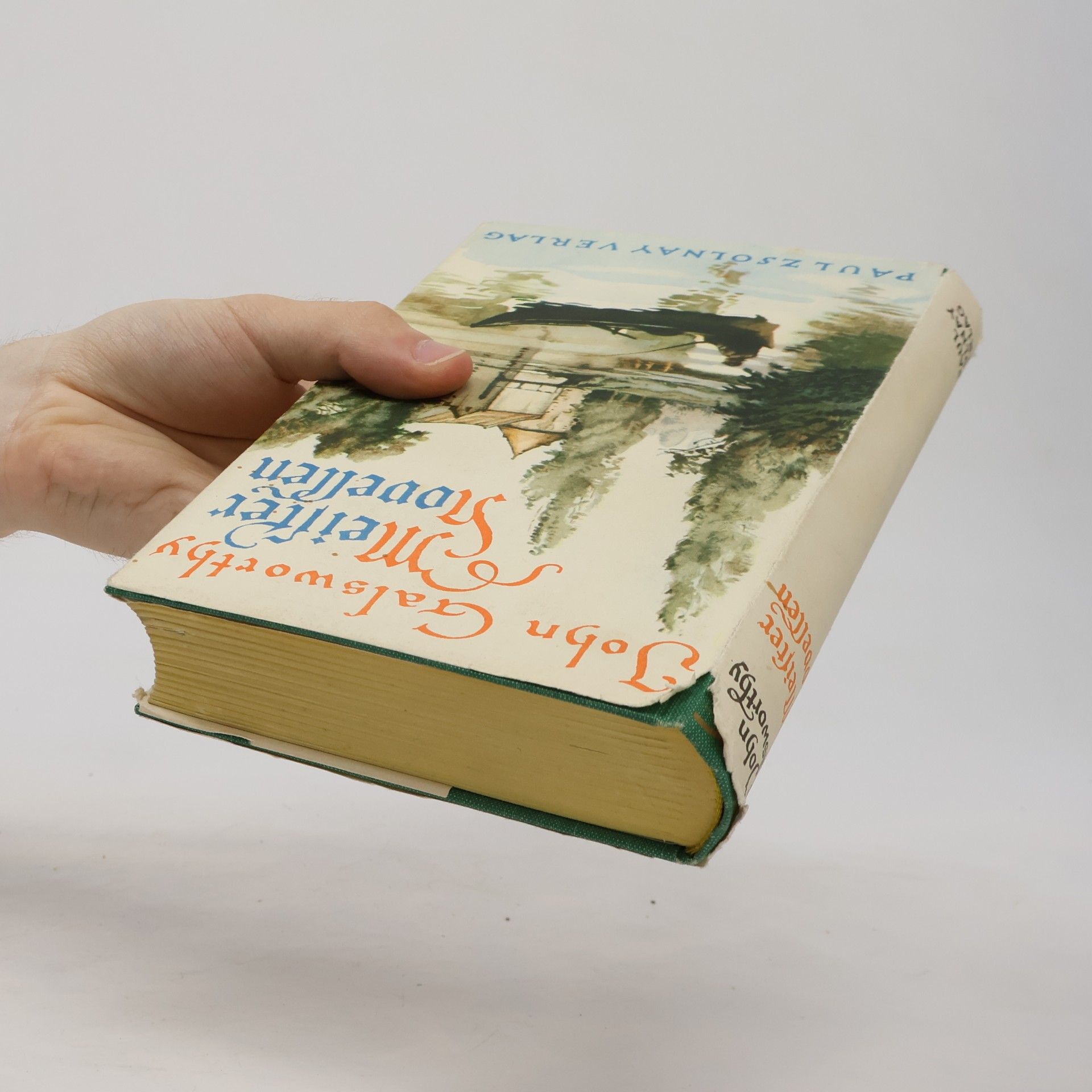 John Galsworthy Meister Novellen