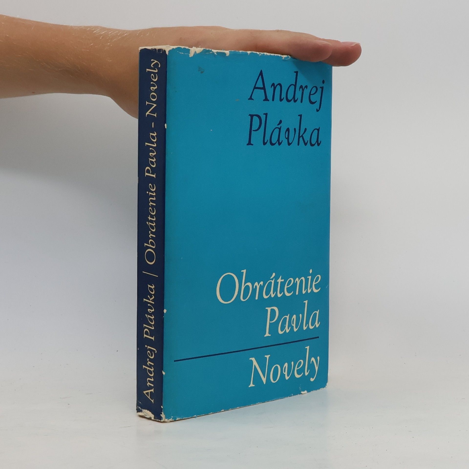 Andrej Plávka Obrátenie Pavla