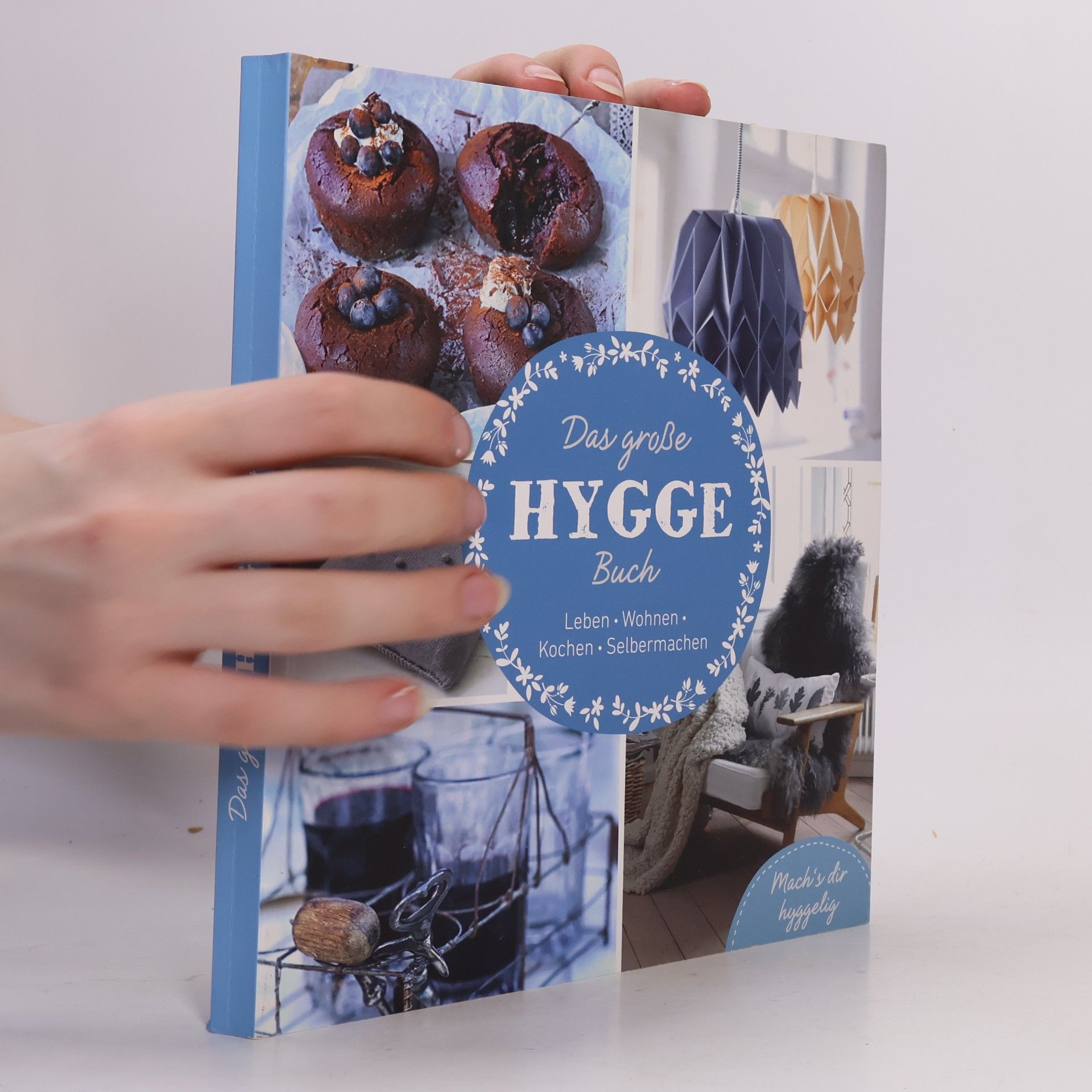 Claudia Ziehm Das große Hygge Buch
