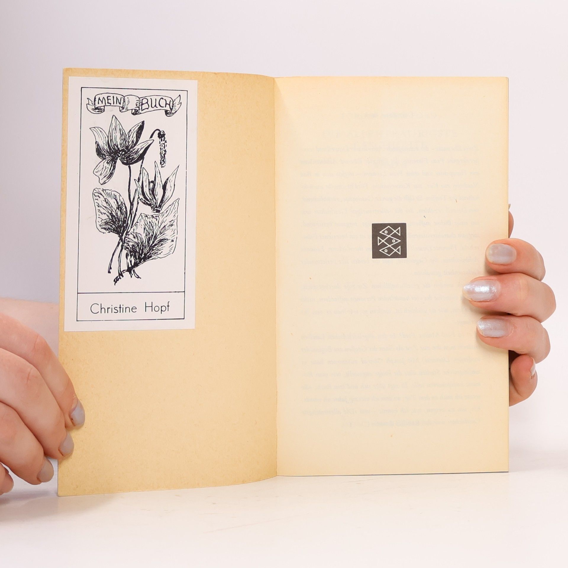 Madox Ford Ford Die allertraurigste Geschichte