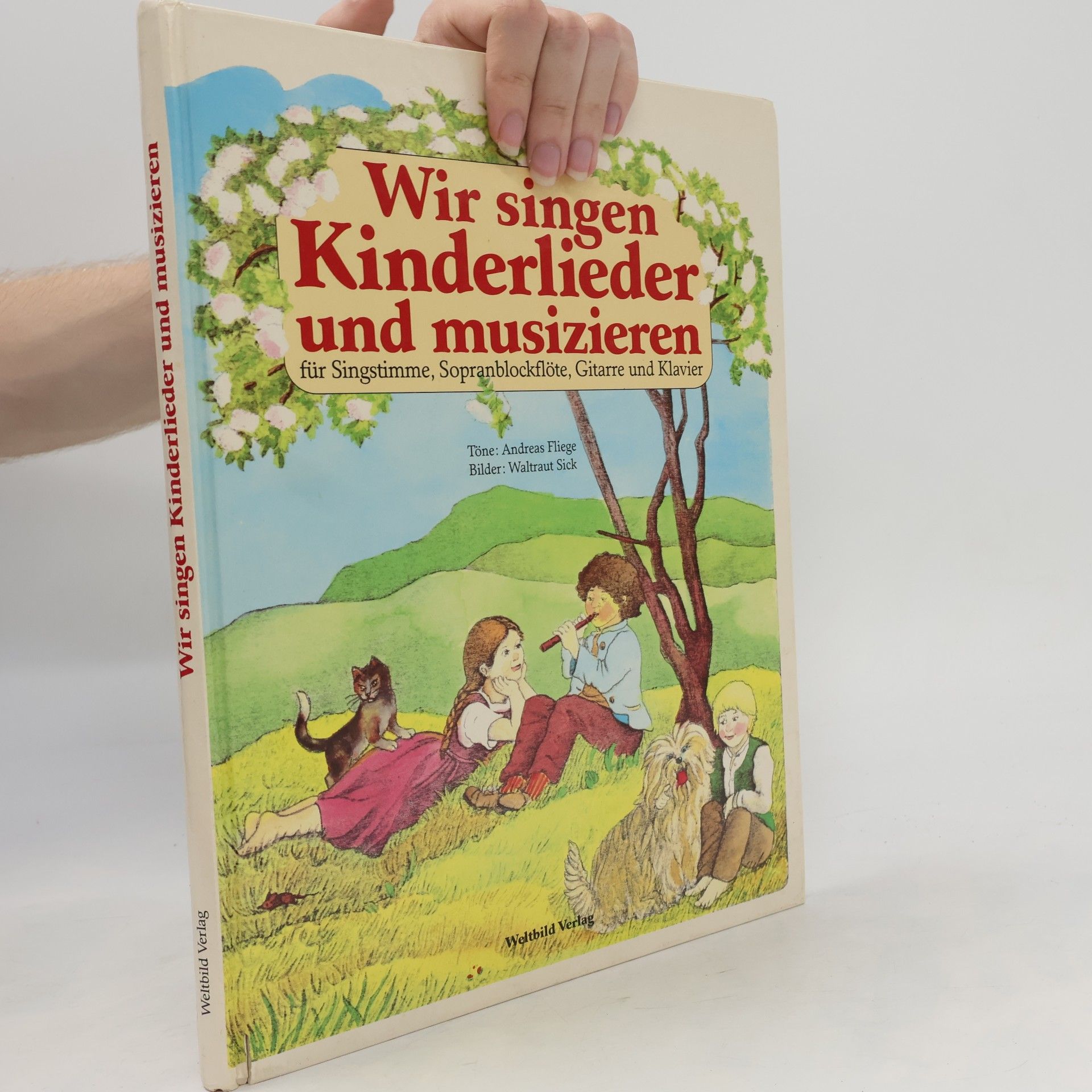 Andreas Fliege Wir singen Kinderlieder und musizieren
