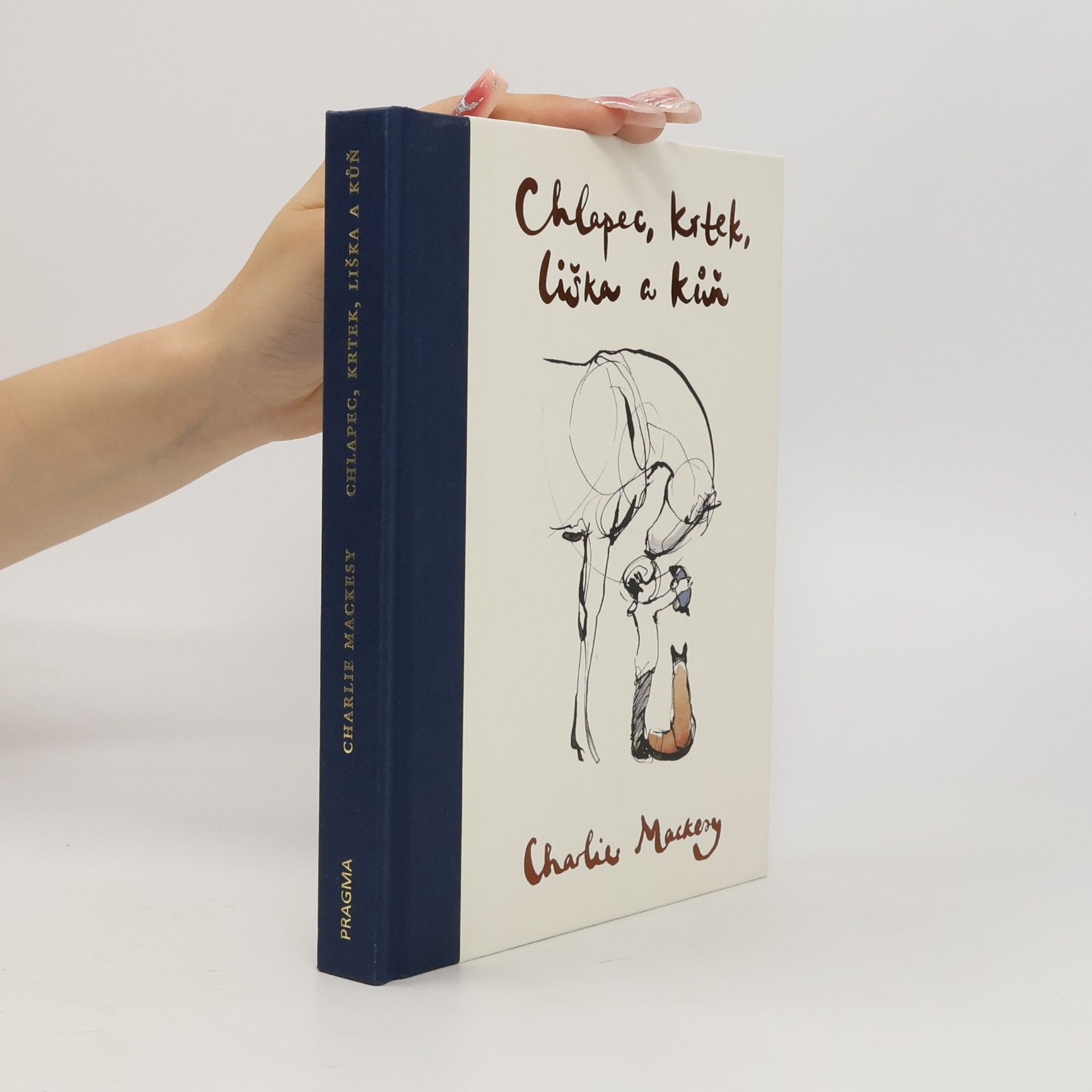 Charlie Mackesy Chlapec, krtek, liška a kůň