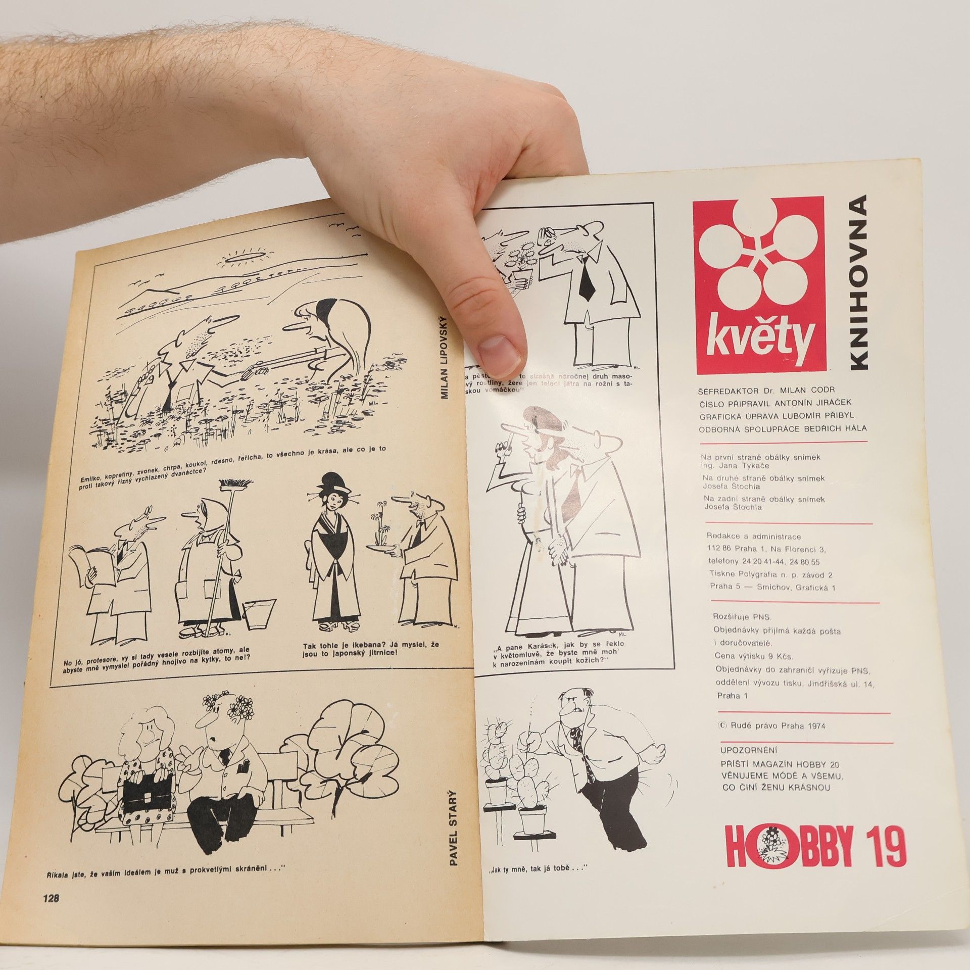 Kolektiv autorů Knihovna květy. Pro volnou chvíli 19