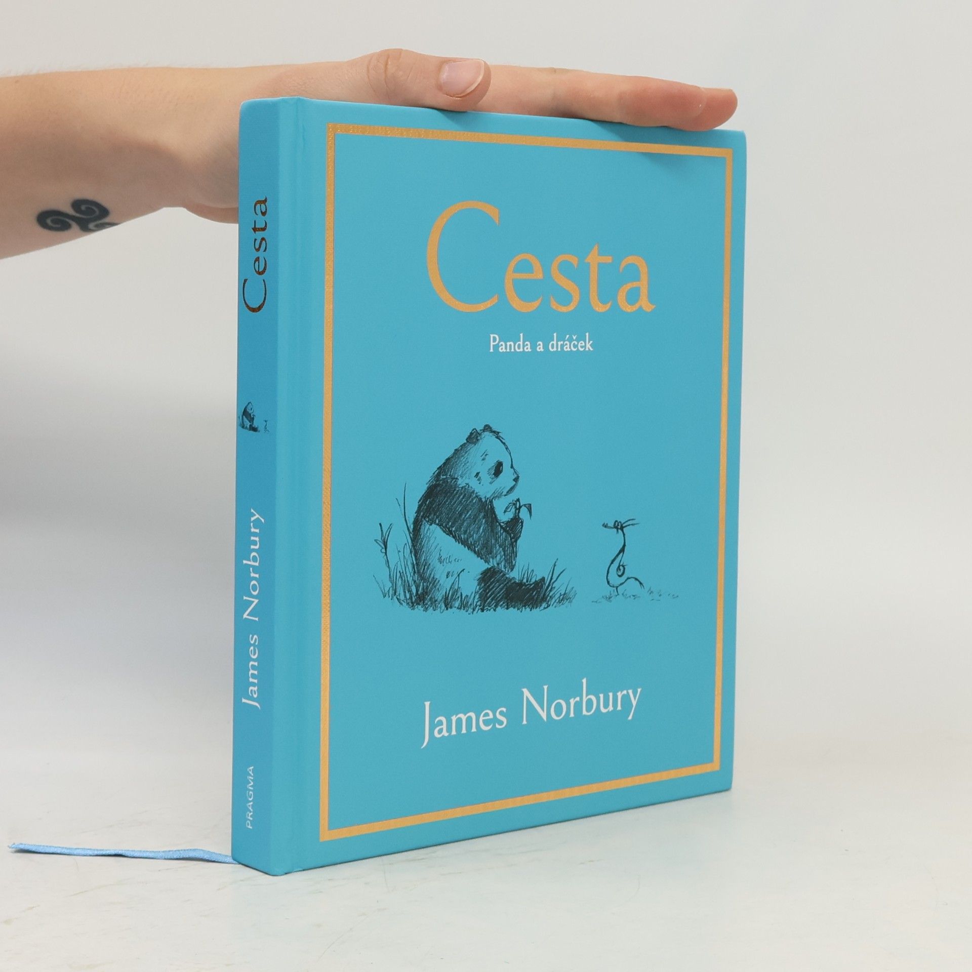 James Norbury Cesta. Panda a dráček