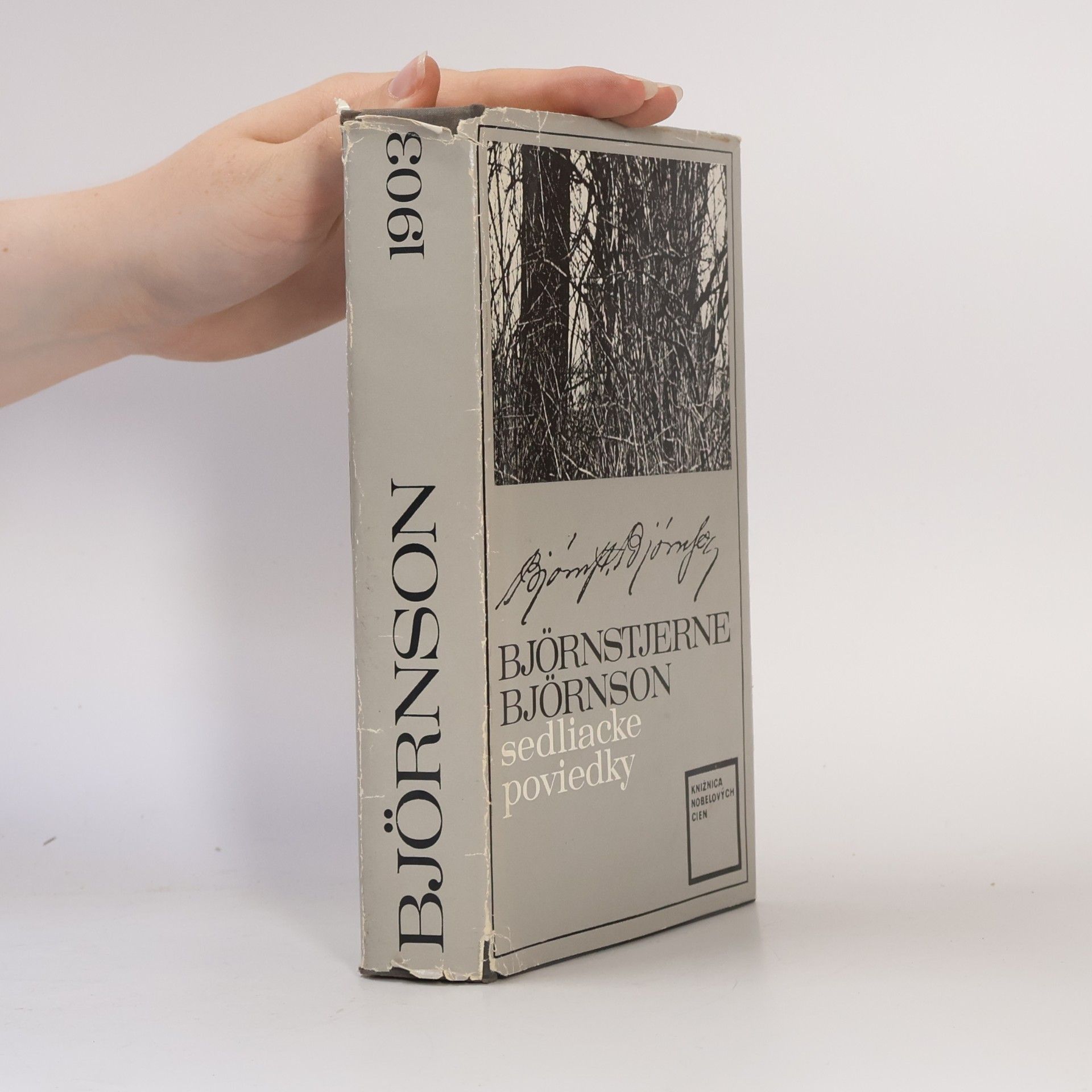 Bjørnstjerne Bjørnson Sedliacke poviedky