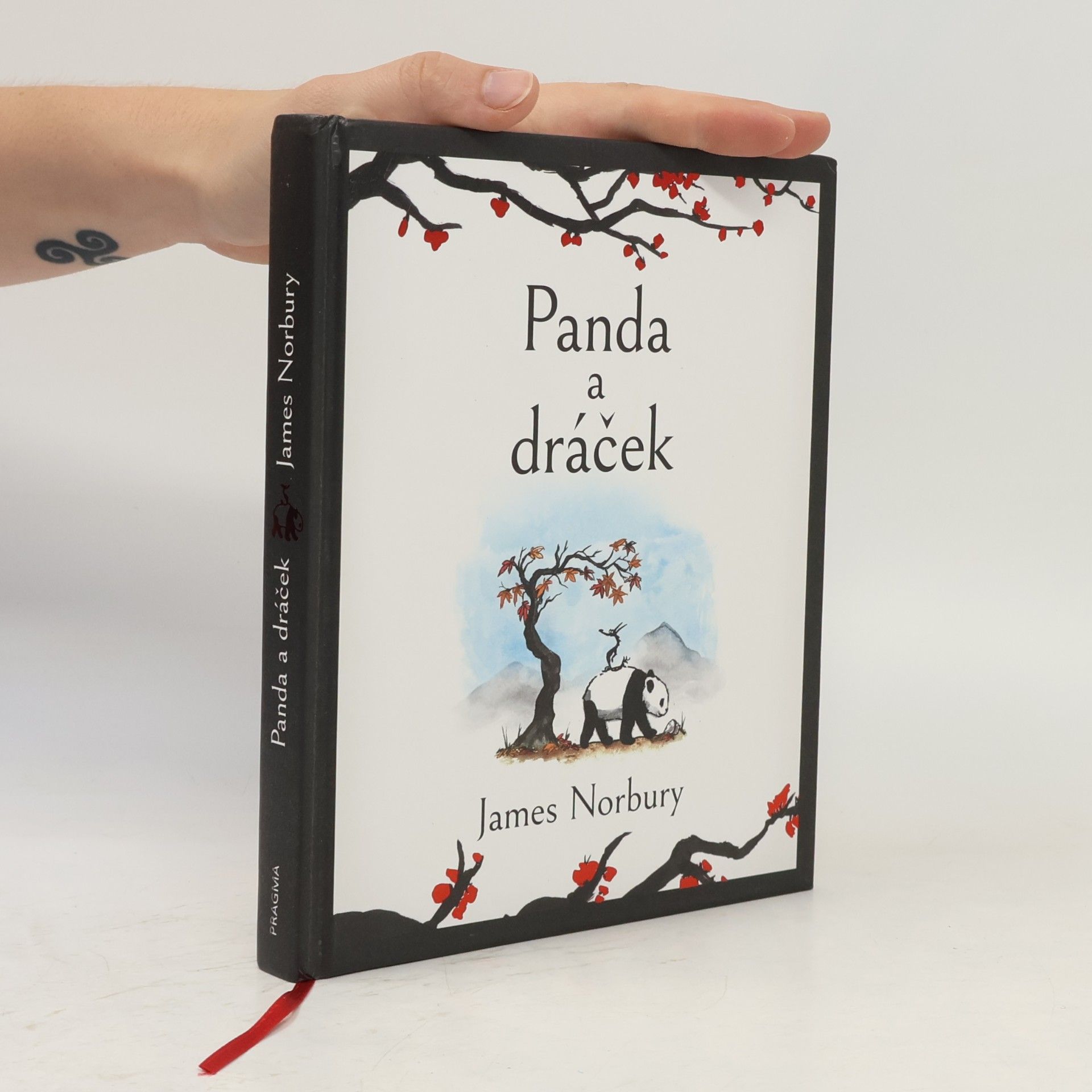 James Norbury Panda a dráček