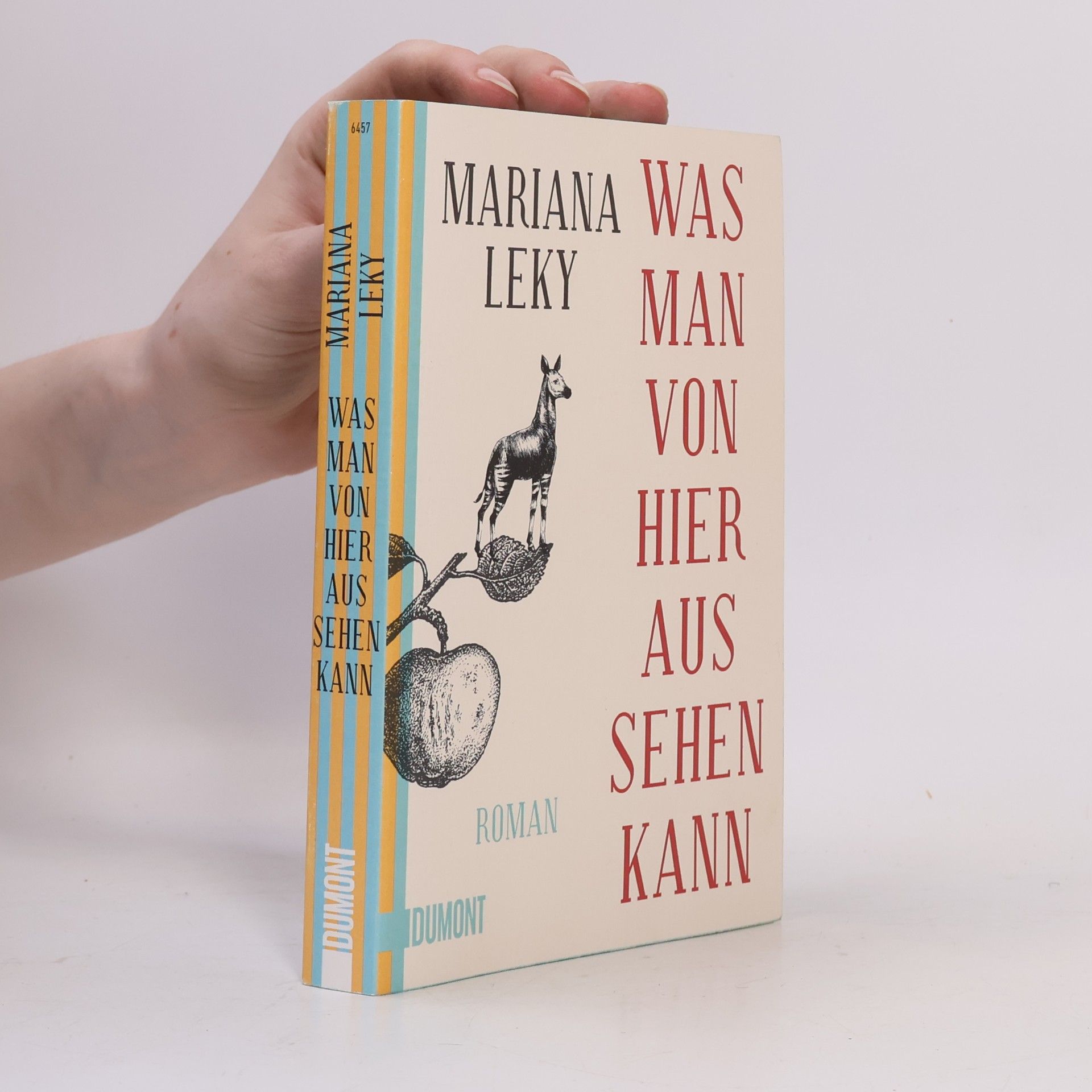Mariana Leky Was man von hier aus sehen kann