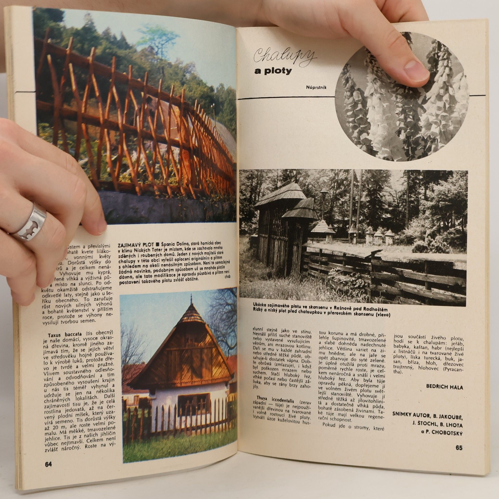 Autorenkollektiv Knihovna Květy 42. Pro volnou chvíli