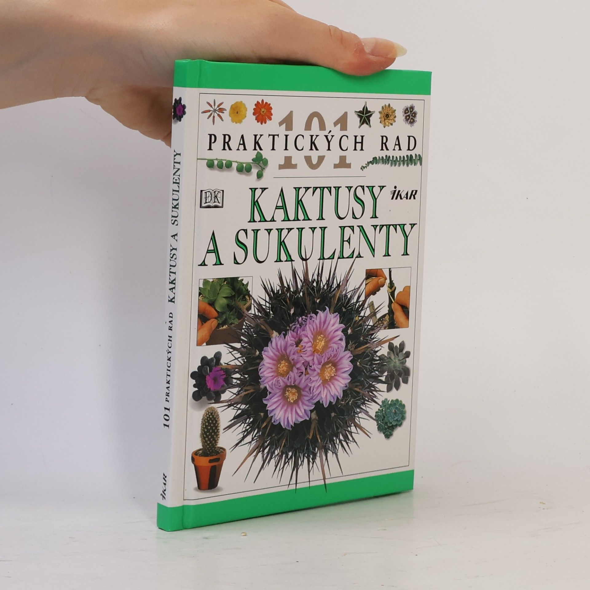 Terry Hewitt Kaktusy a sukulenty