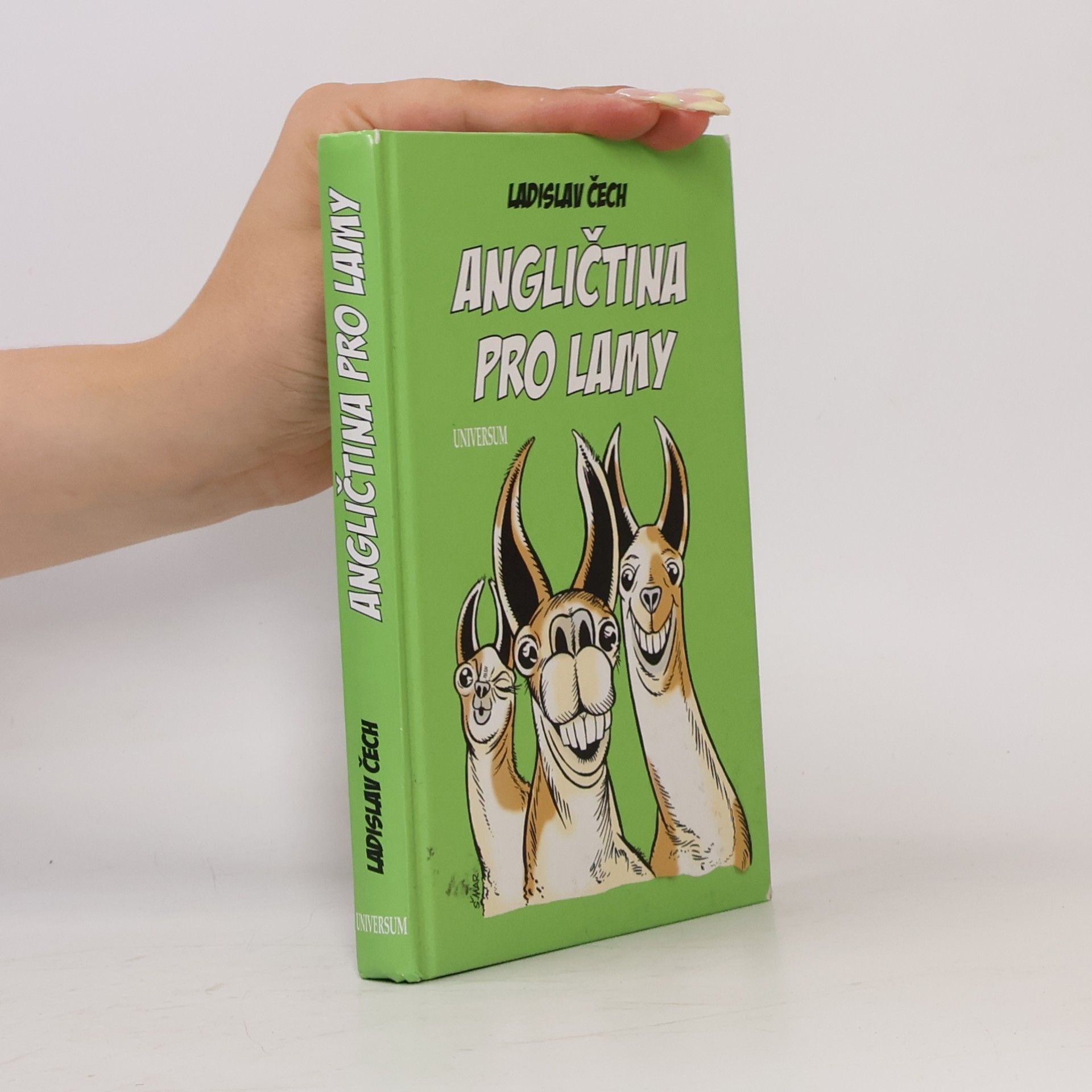 Ladislav Čech Angličtina pro lamy