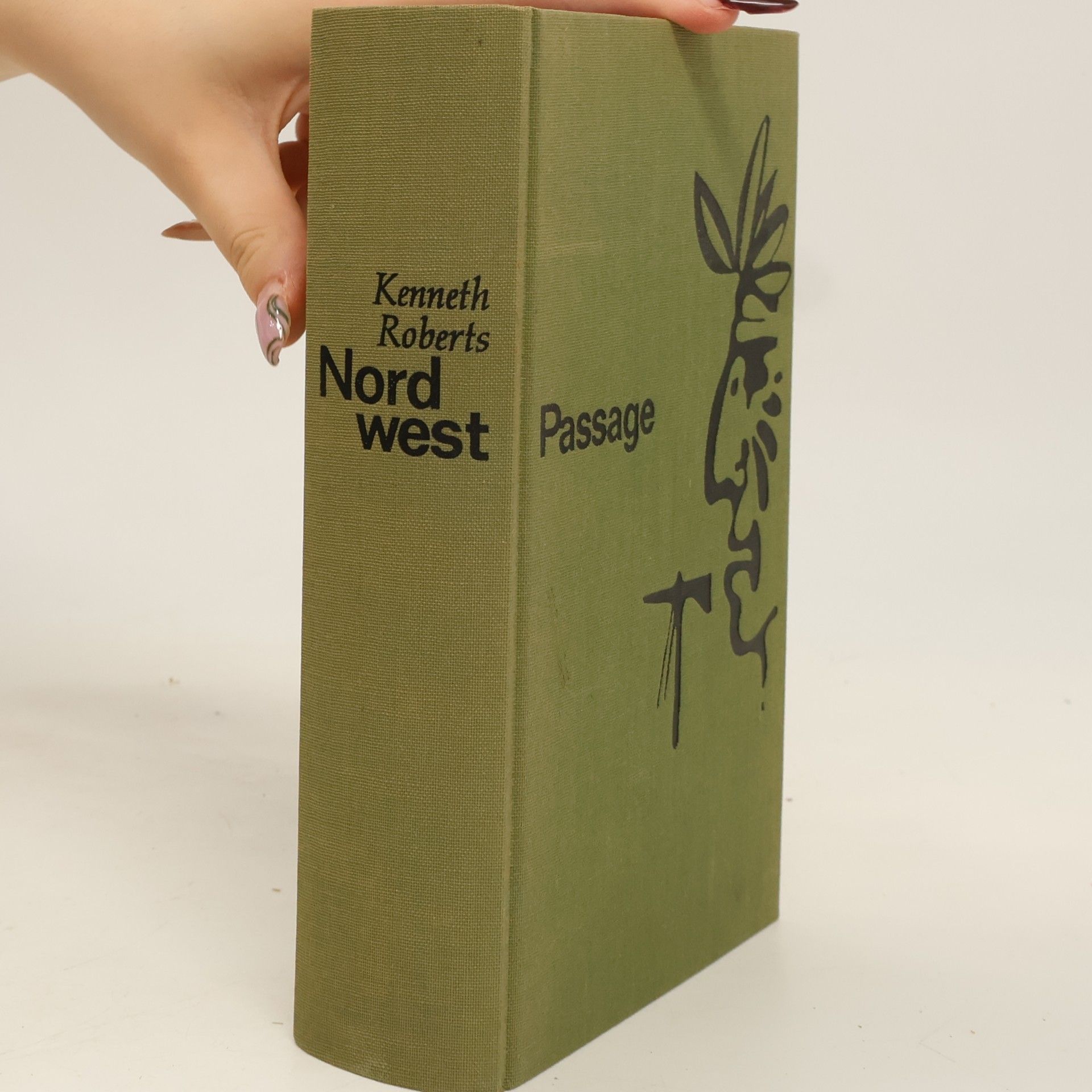 Nordwest: Passage