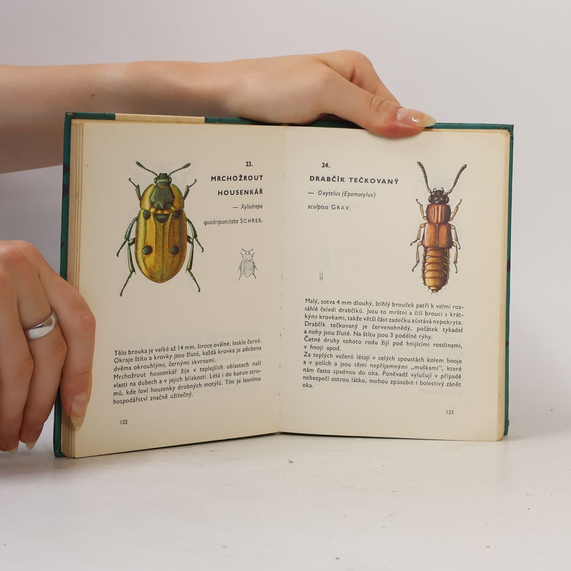 Vladimír Javorek Kapesní atlas brouků
