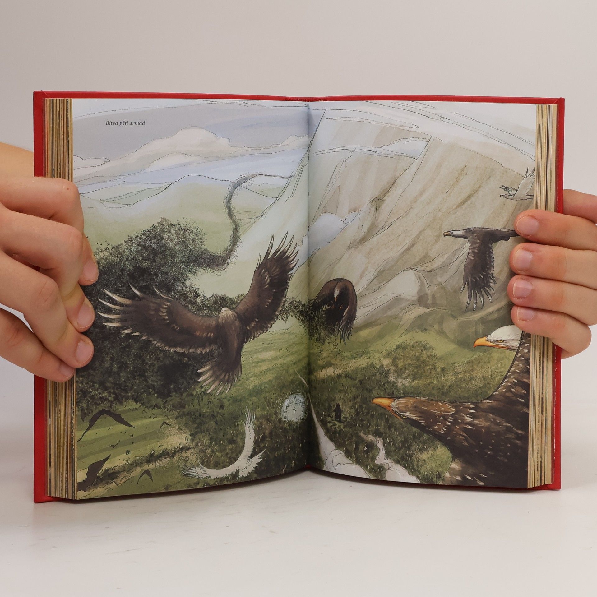 David Day Tolkienovy bitvy