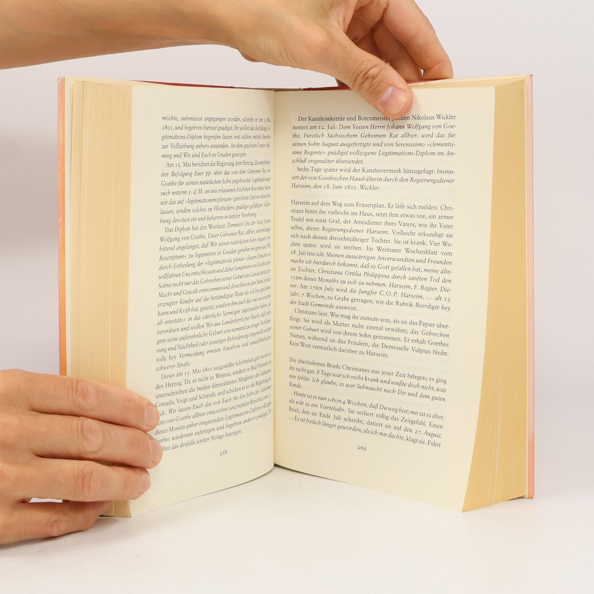Sigrid Damm Christiane und Goethe