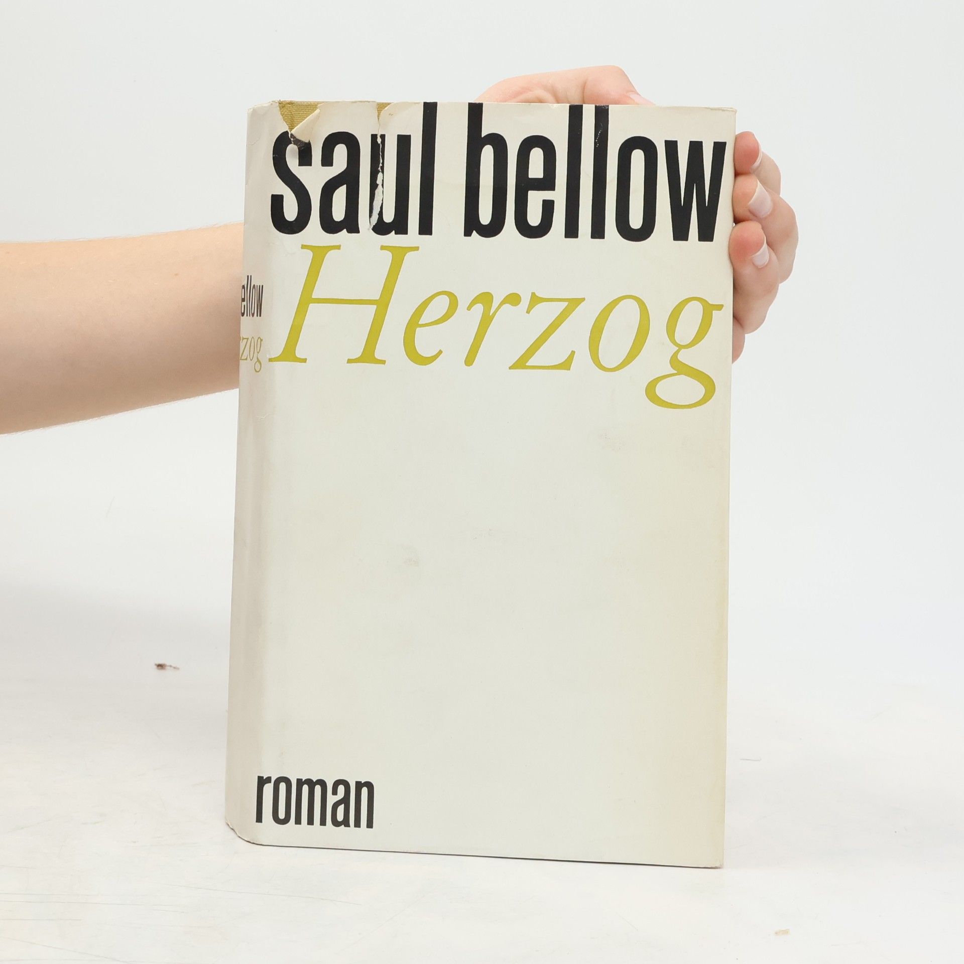 Saul Bellow Herzog
