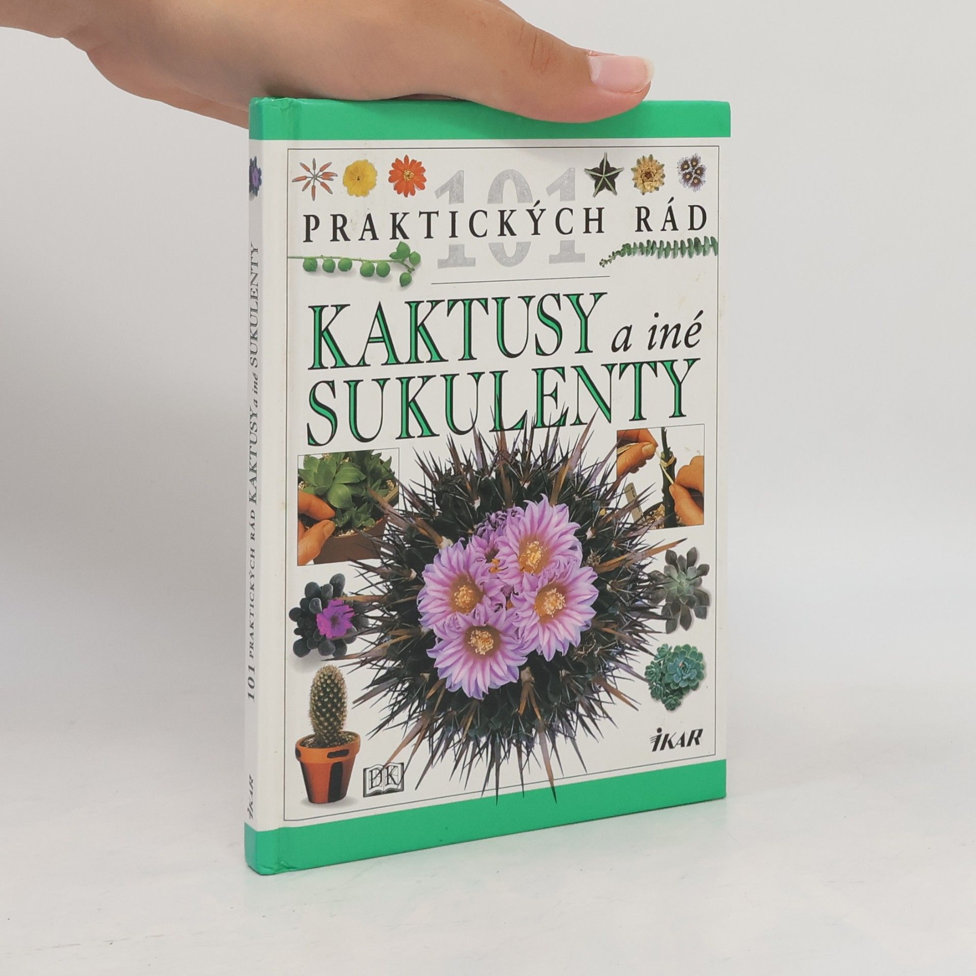 Terry Hewitt Kaktusy a iné sukulenty