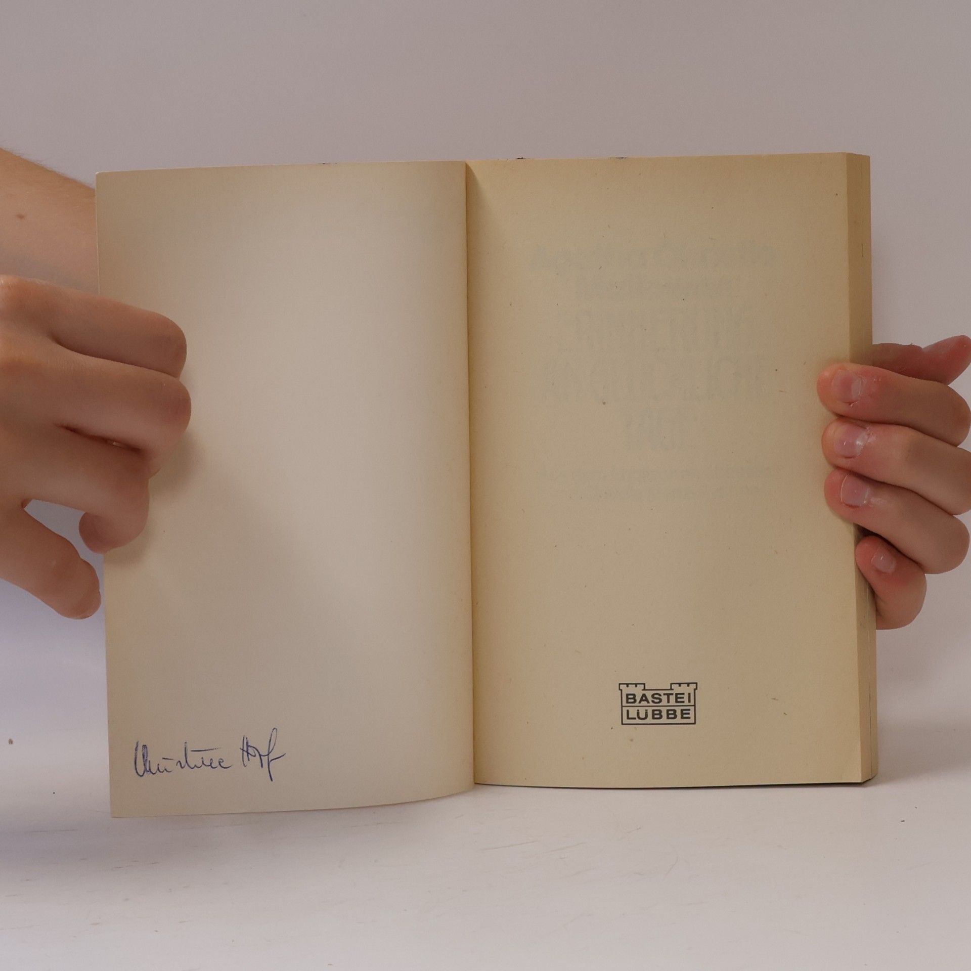 Agatha Christie Erinnerung an glückliche Tage