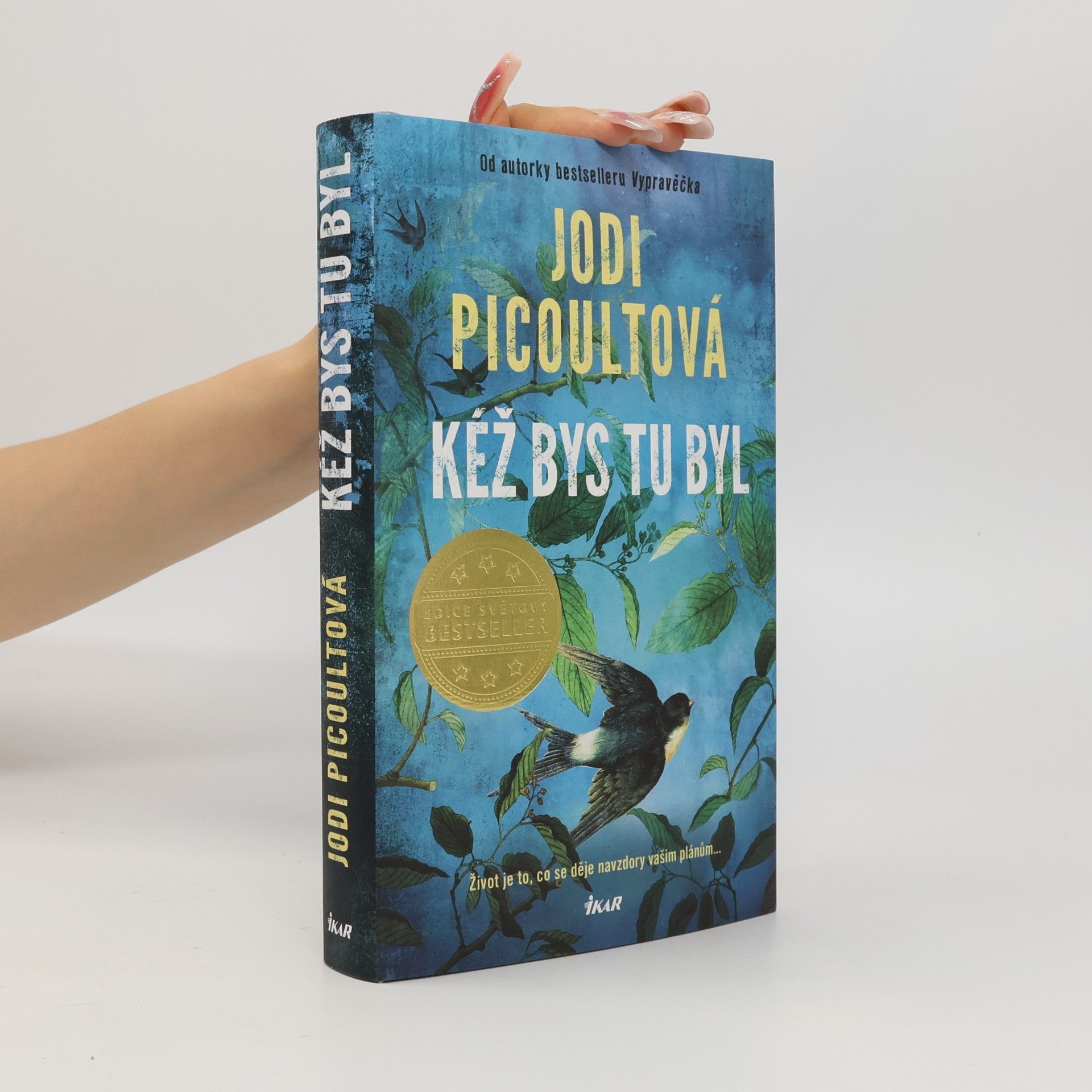 Jodi Picoult Kéž bys tu byl
