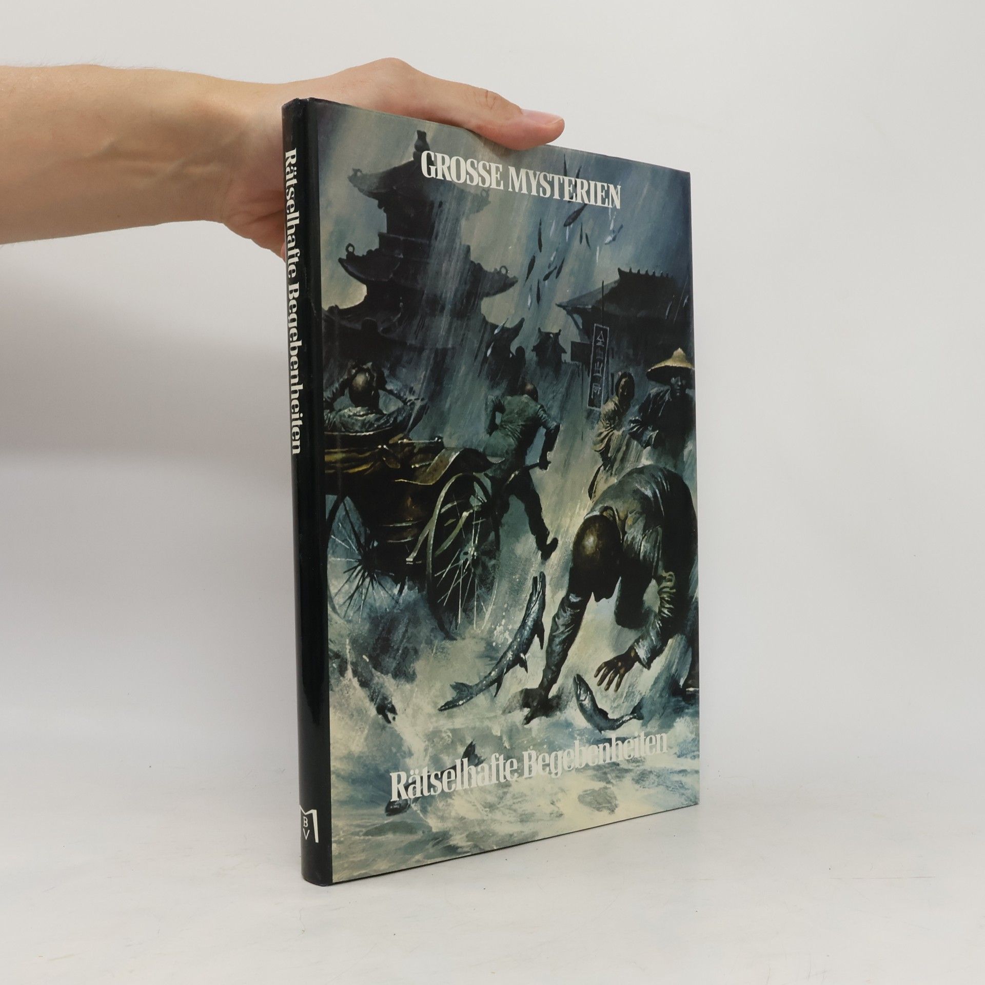 Autores varios Grosse Mysterien. Rätselhafte Begebenheiten