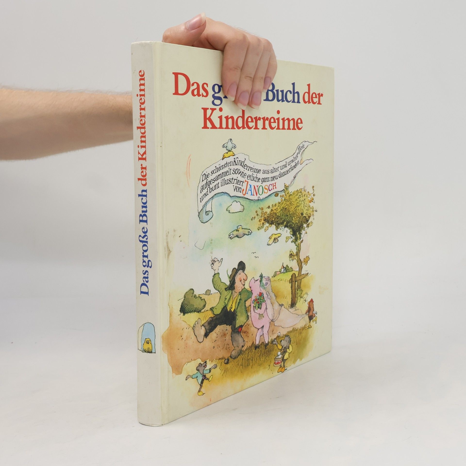 Autorenkollektiv Das große Buch der Kinderreime