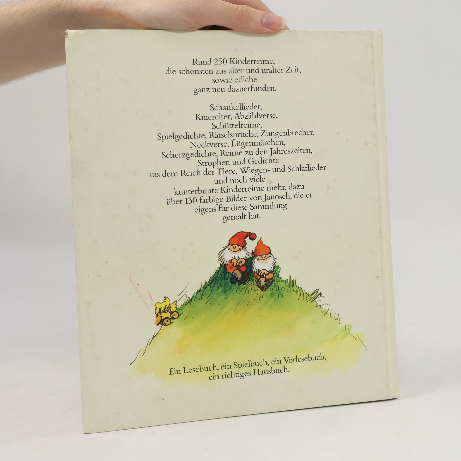 Autorenkollektiv Das große Buch der Kinderreime