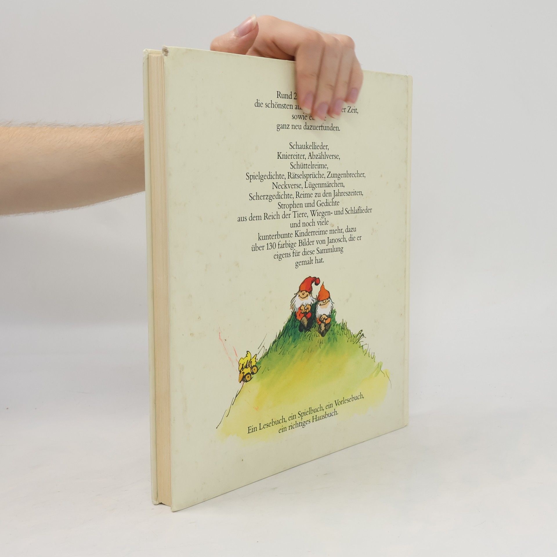 Autorenkollektiv Das große Buch der Kinderreime
