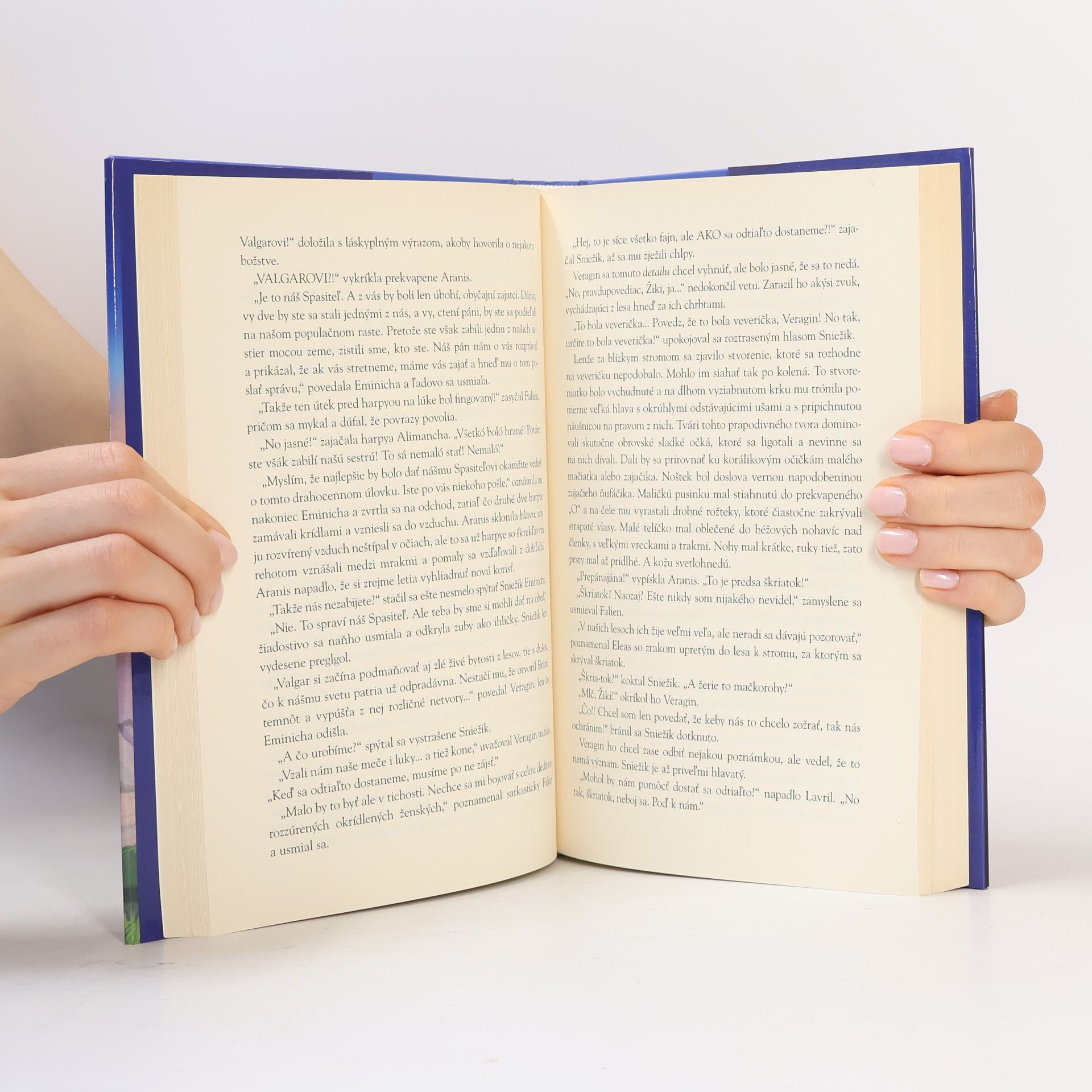 Michaela Burdová Posolstvo jednorožcov 1 – Strážcovia dob