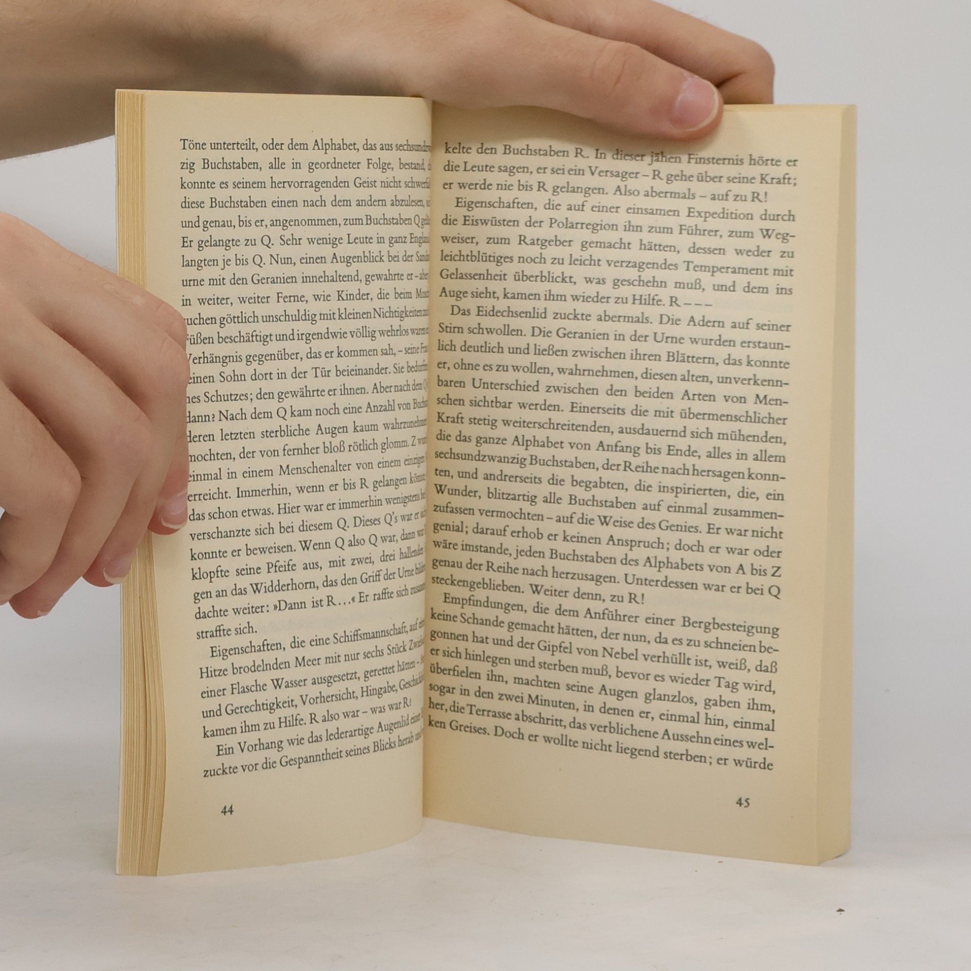 Virginia Woolf Die Fahrt zum Leuchtturm