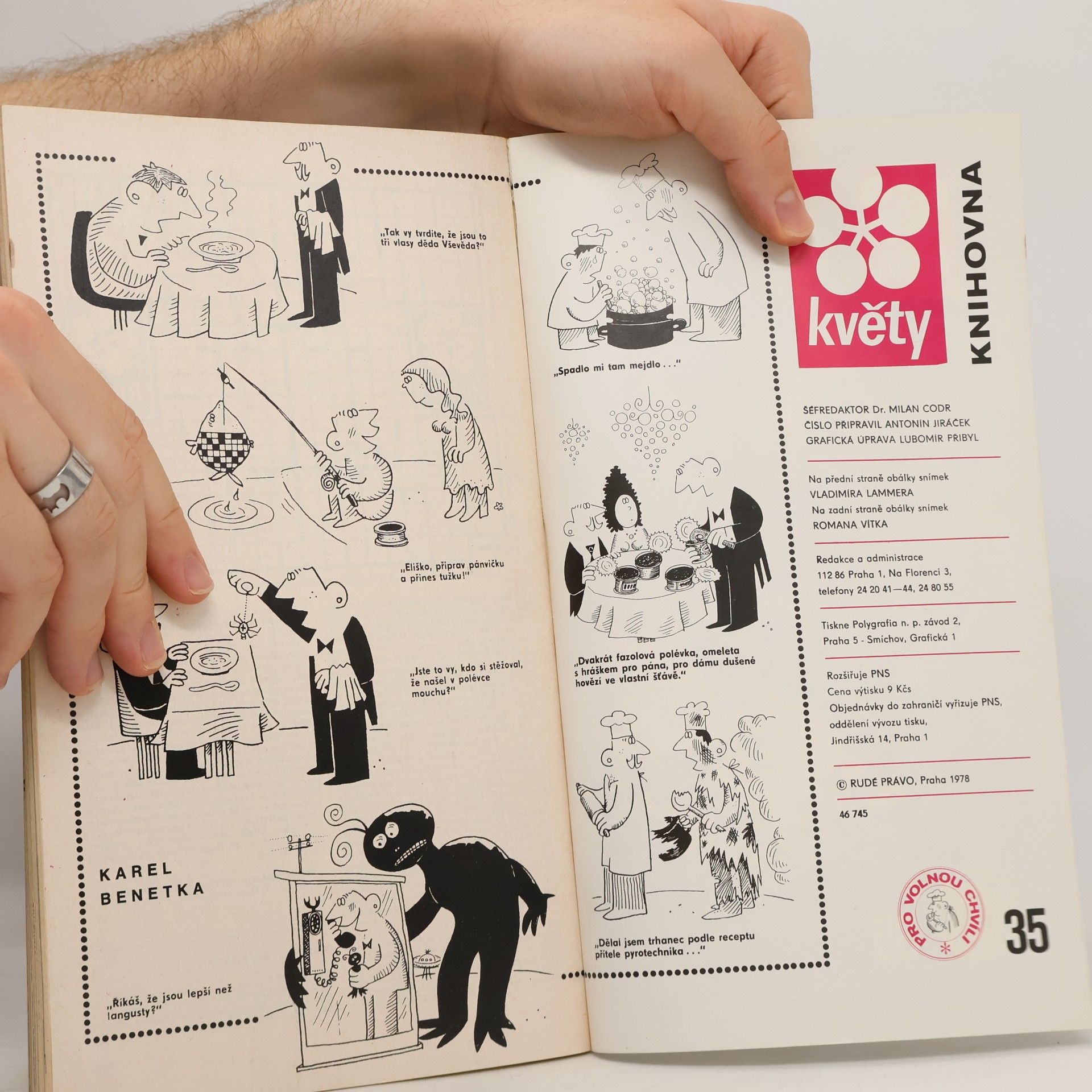 Kolektiv autorů Knihovna květy. Pro volnou chvíli 35