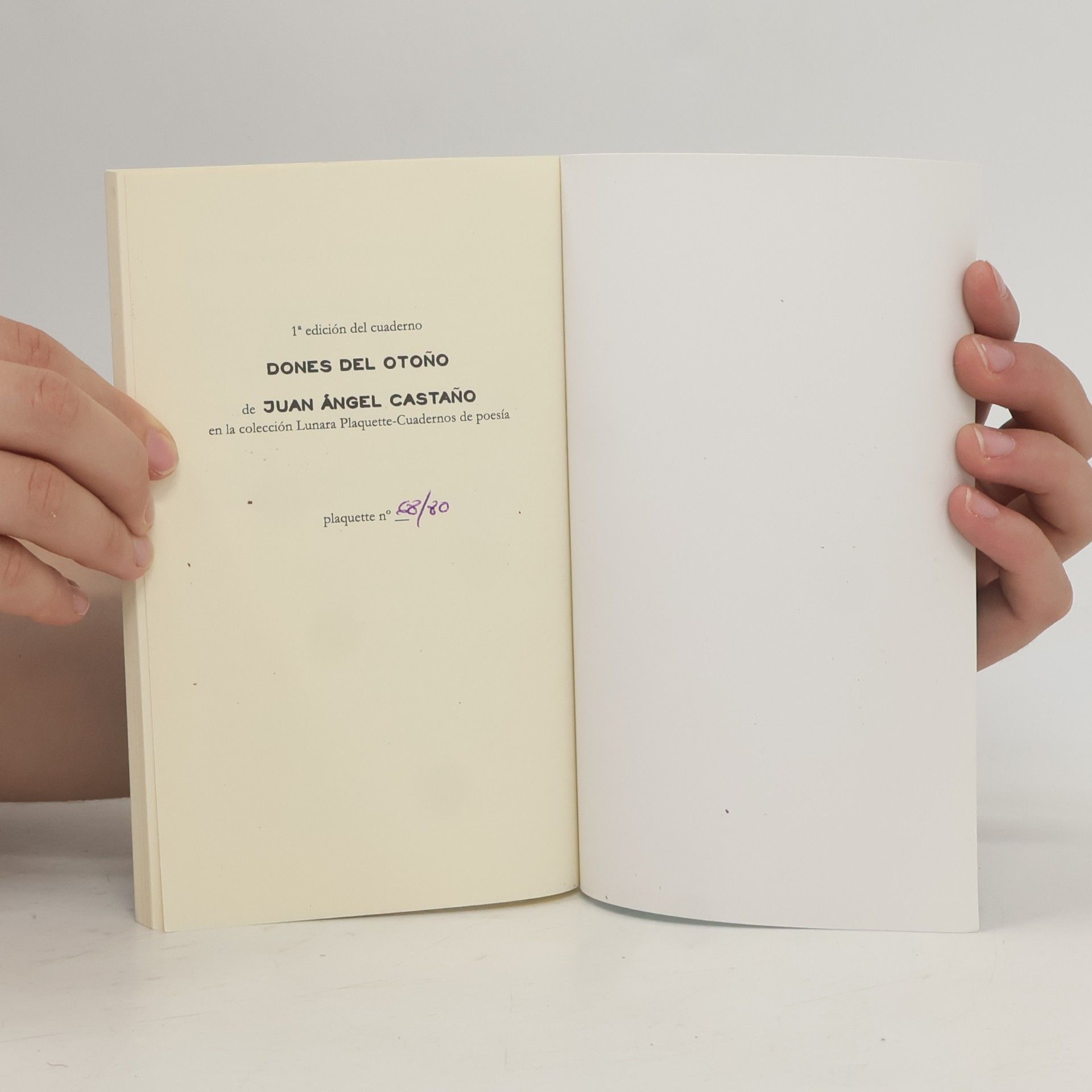 Juan Ángel Castaño López Lunara poesía plaquette - 8: Dones del otoño