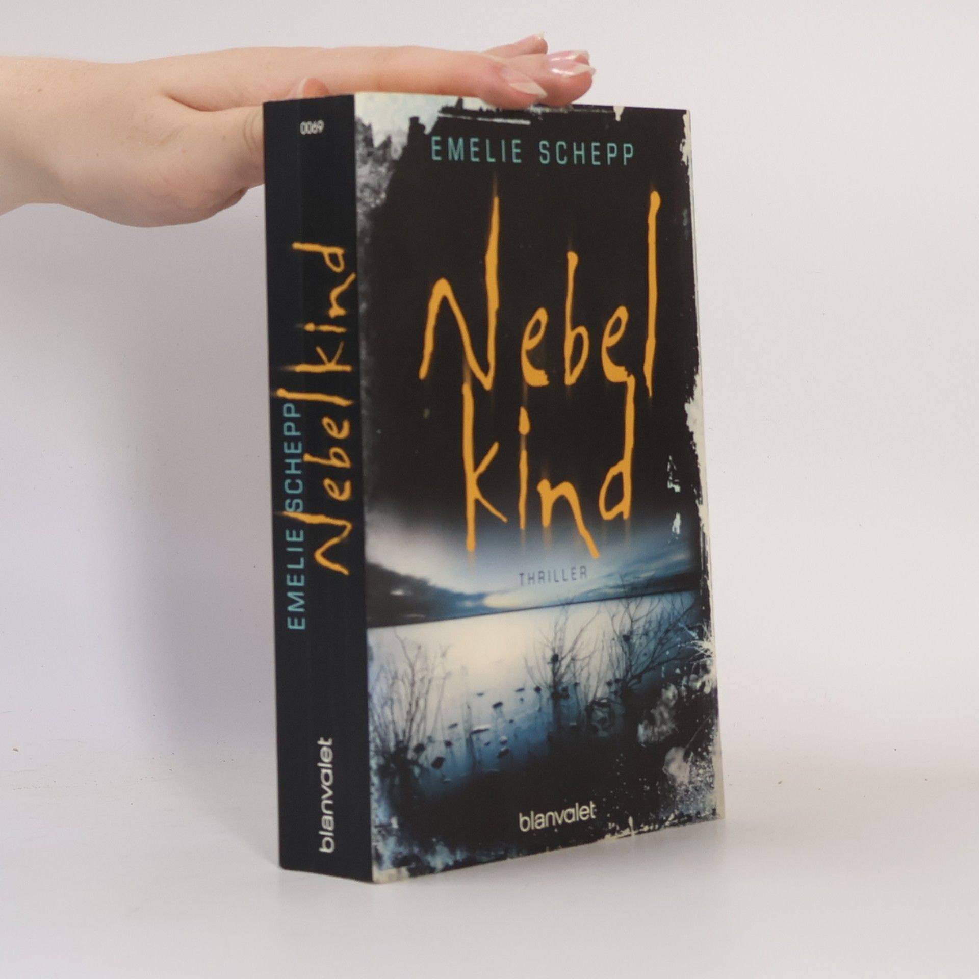 Emelie Schepp Nebelkind