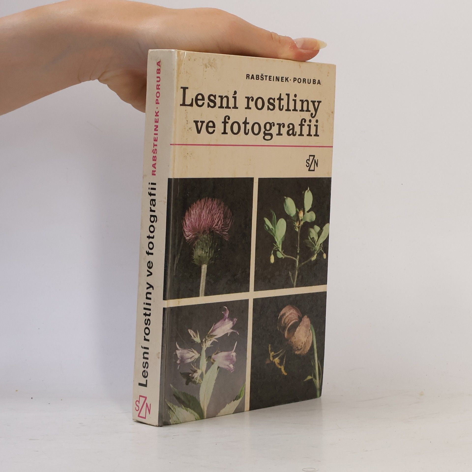 Lesní rostliny ve fotografii