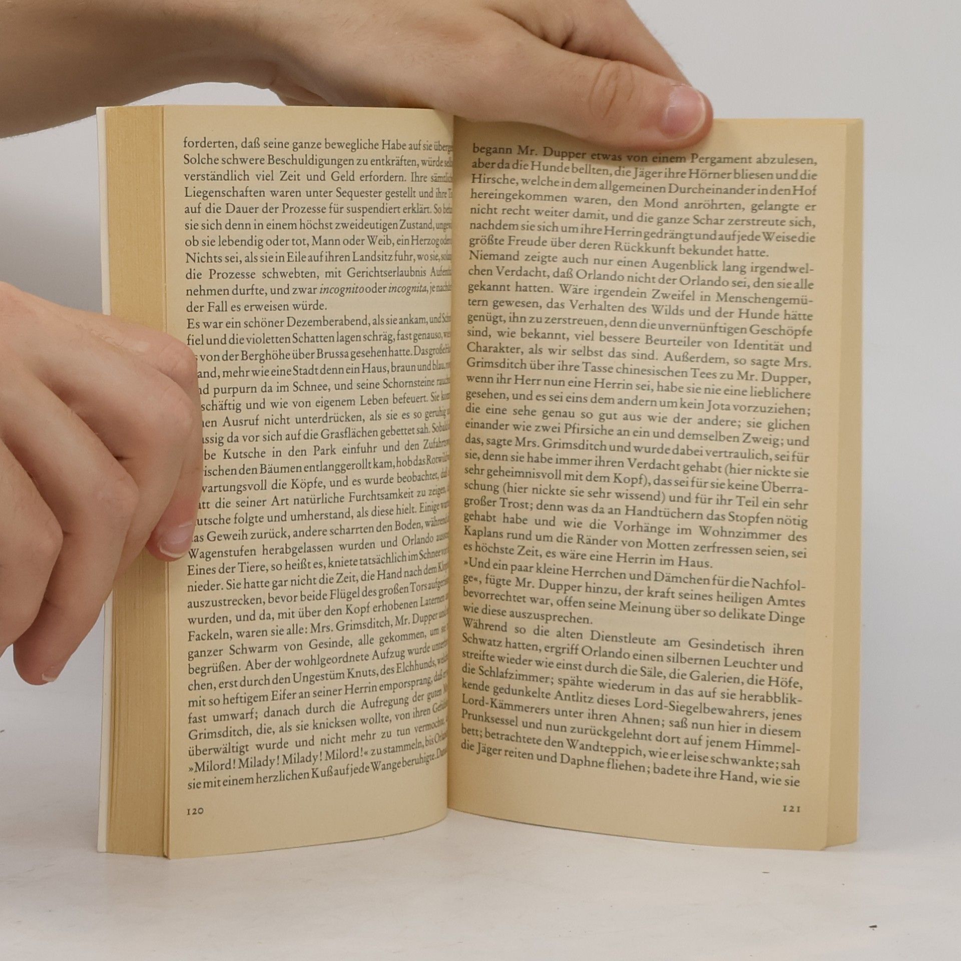 Virginia Woolf Orlando