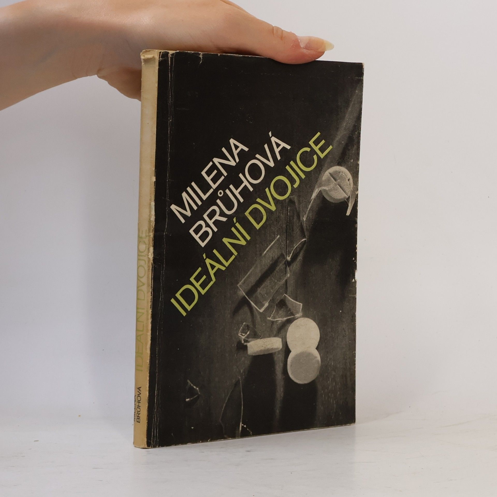 Brůhová Milena Ideální dvojice