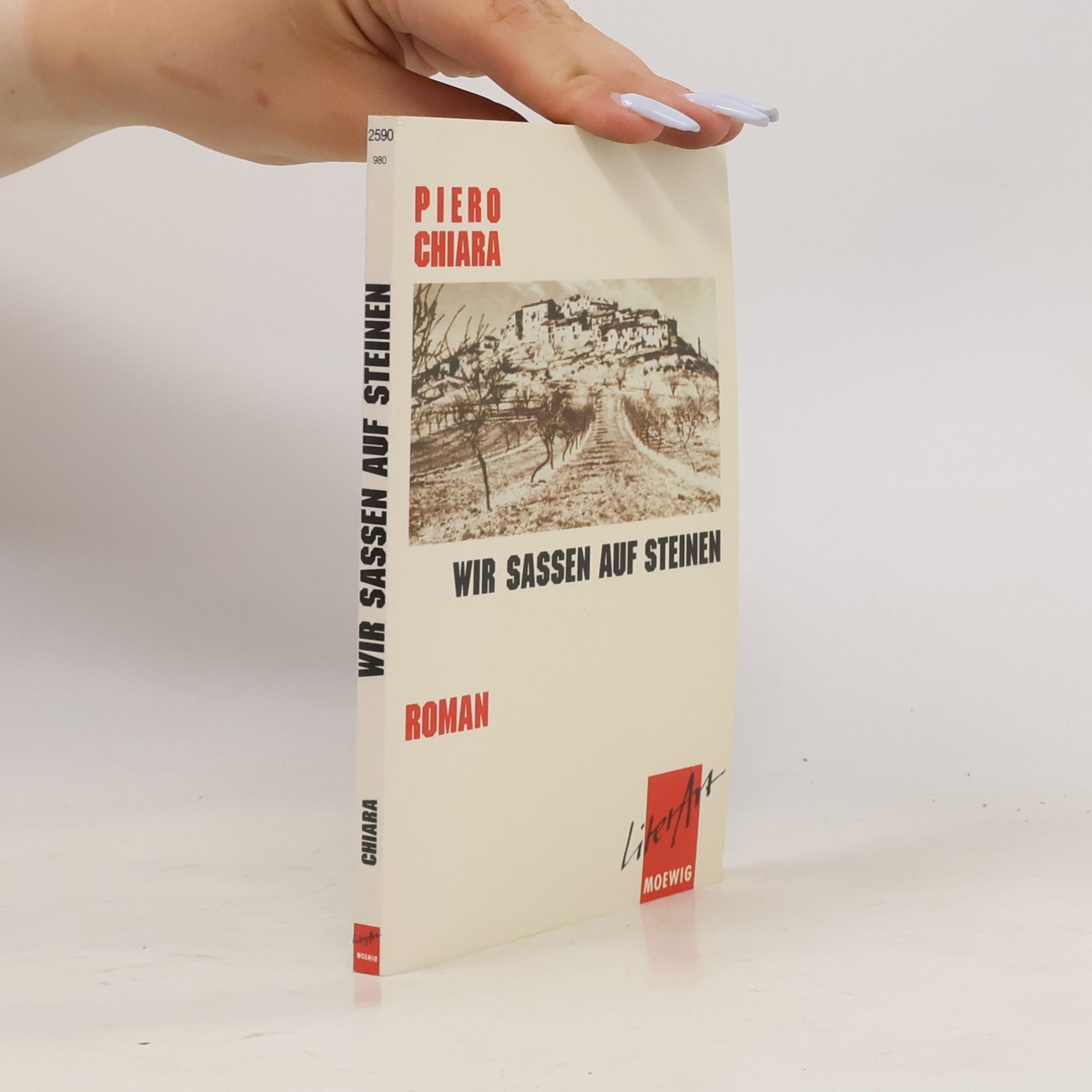 Piero Chiara Wir sassen auf Steinen