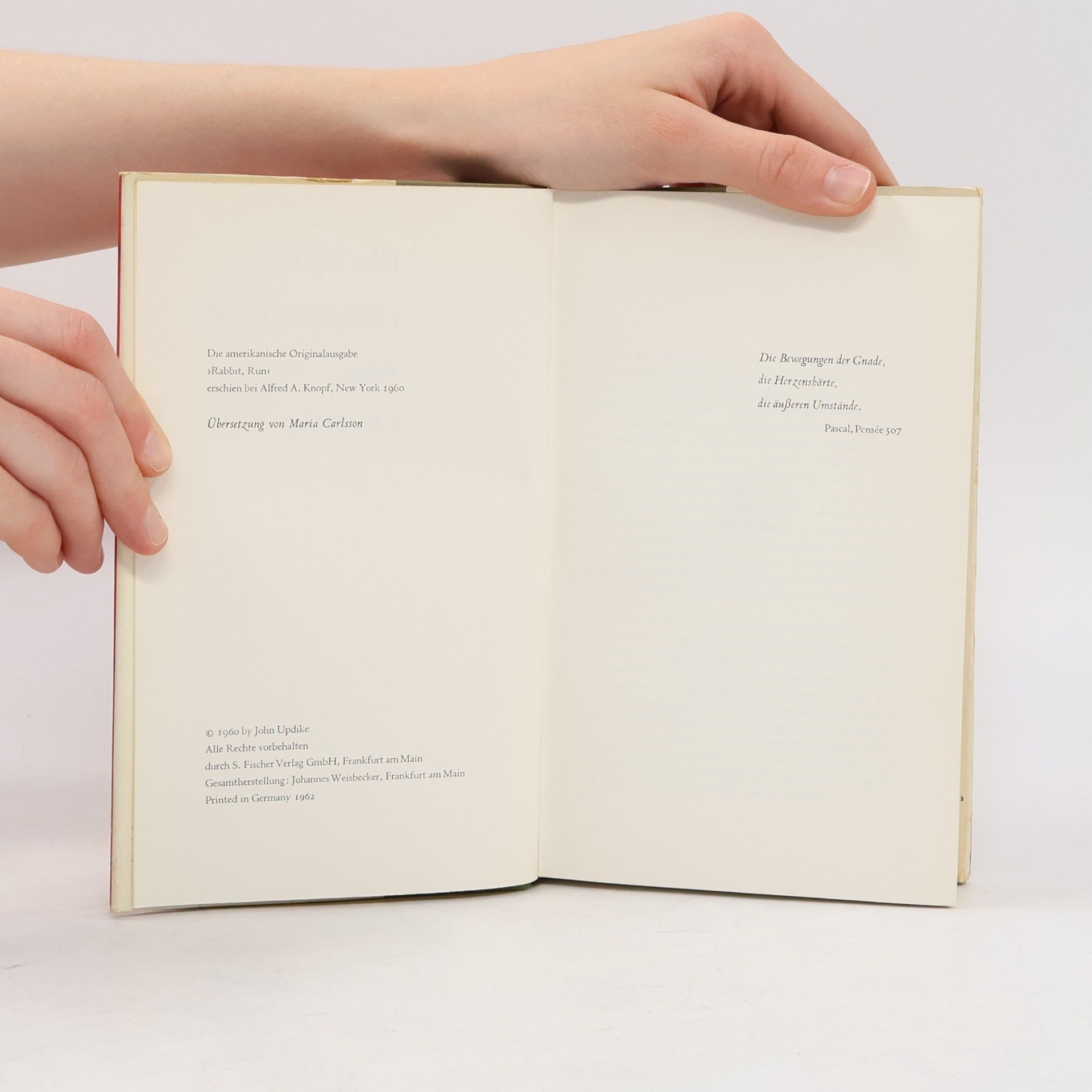 John Updike Hasenherz