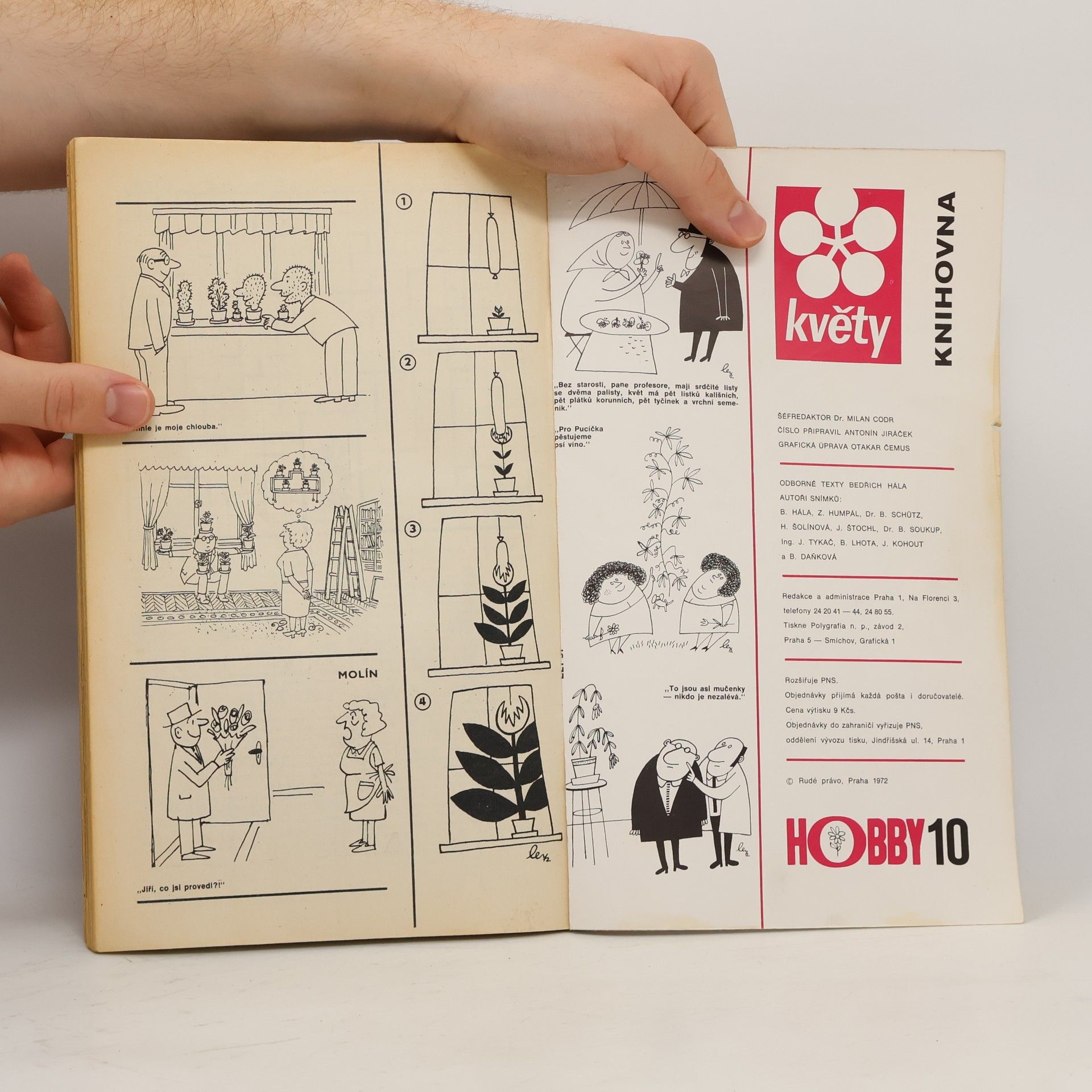 Various authors Hobby 10