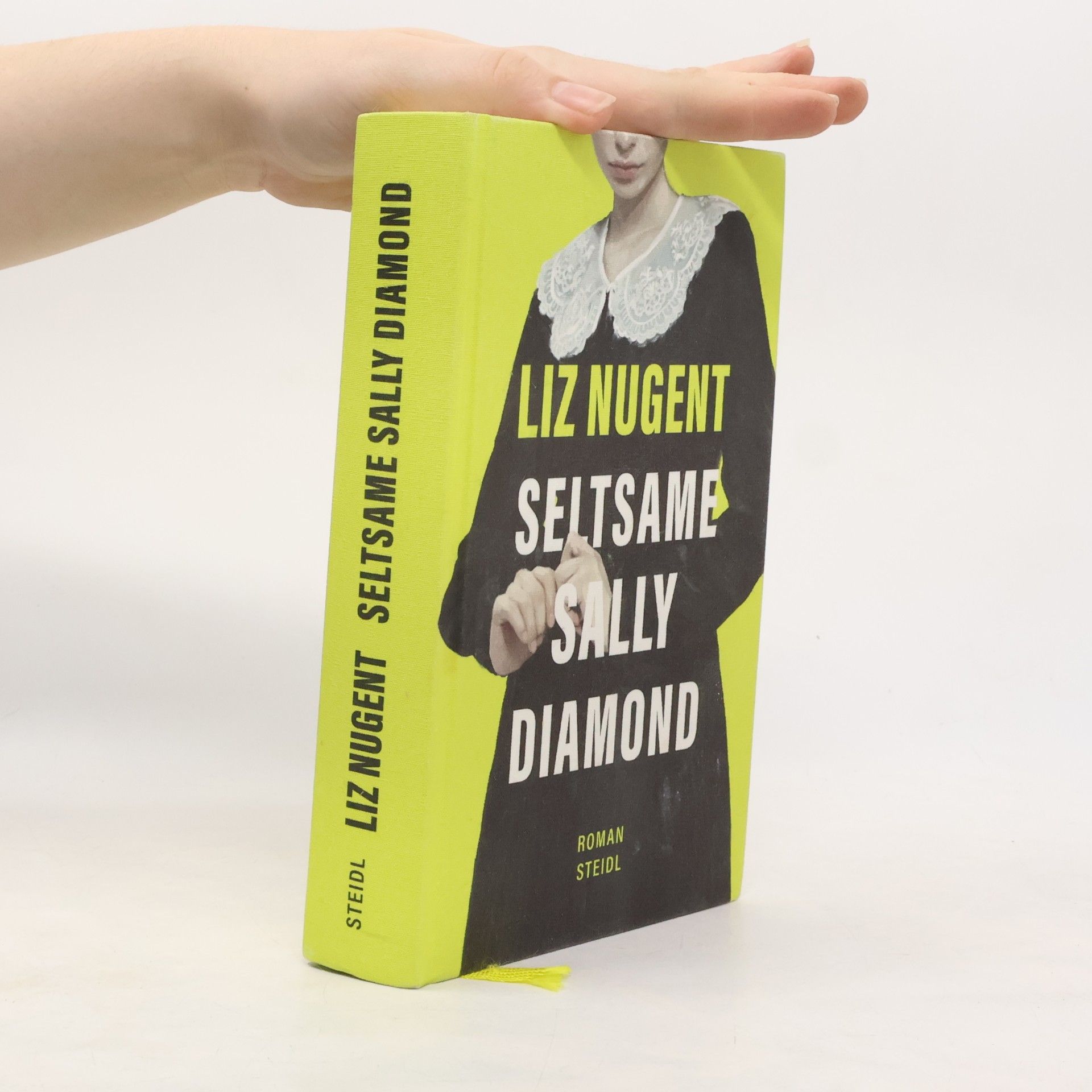 Liz Nugent Seltsame Sally Diamond