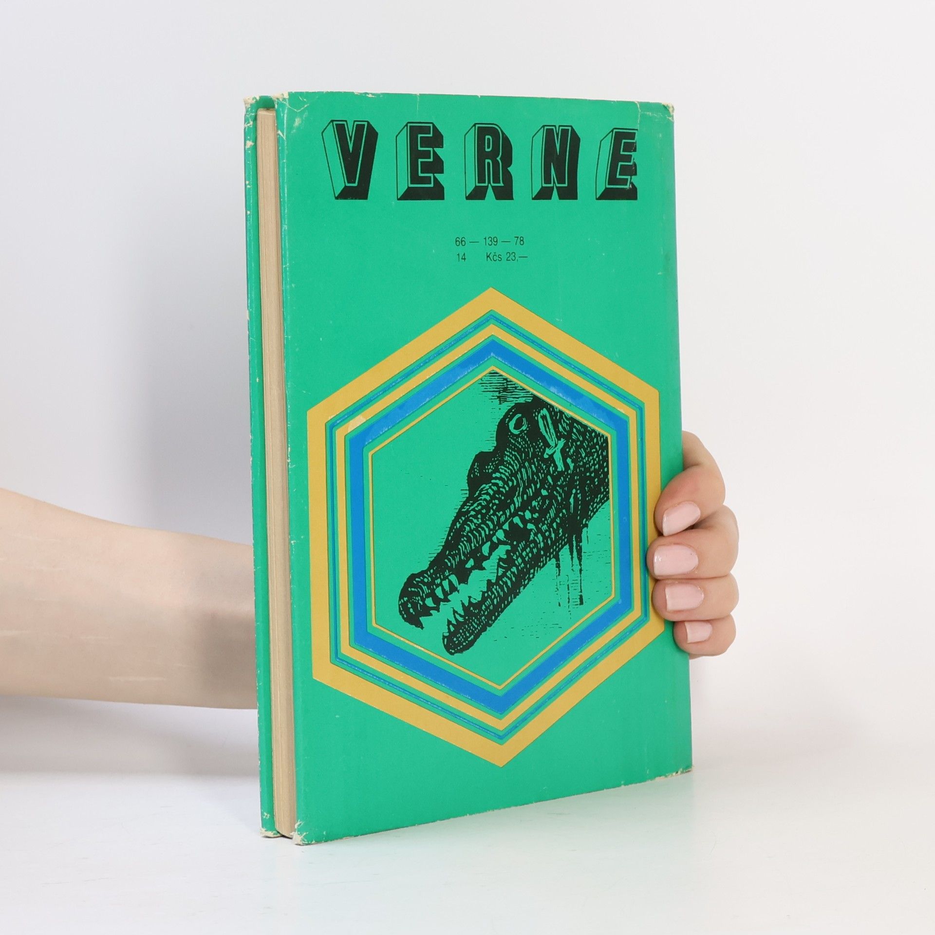 Jules Verne 800 míľ po Amazone