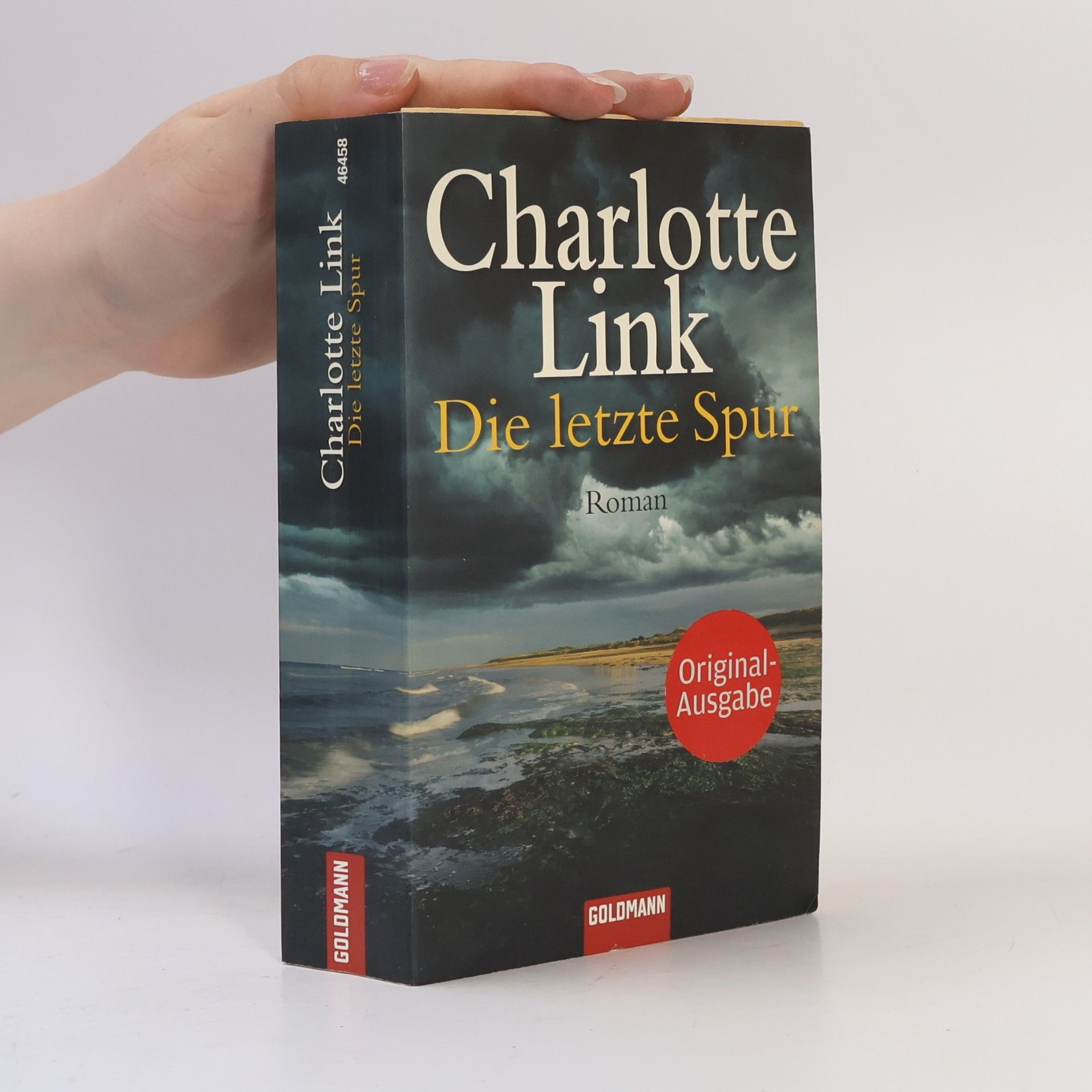 Charlotte Link Die letzte Spur