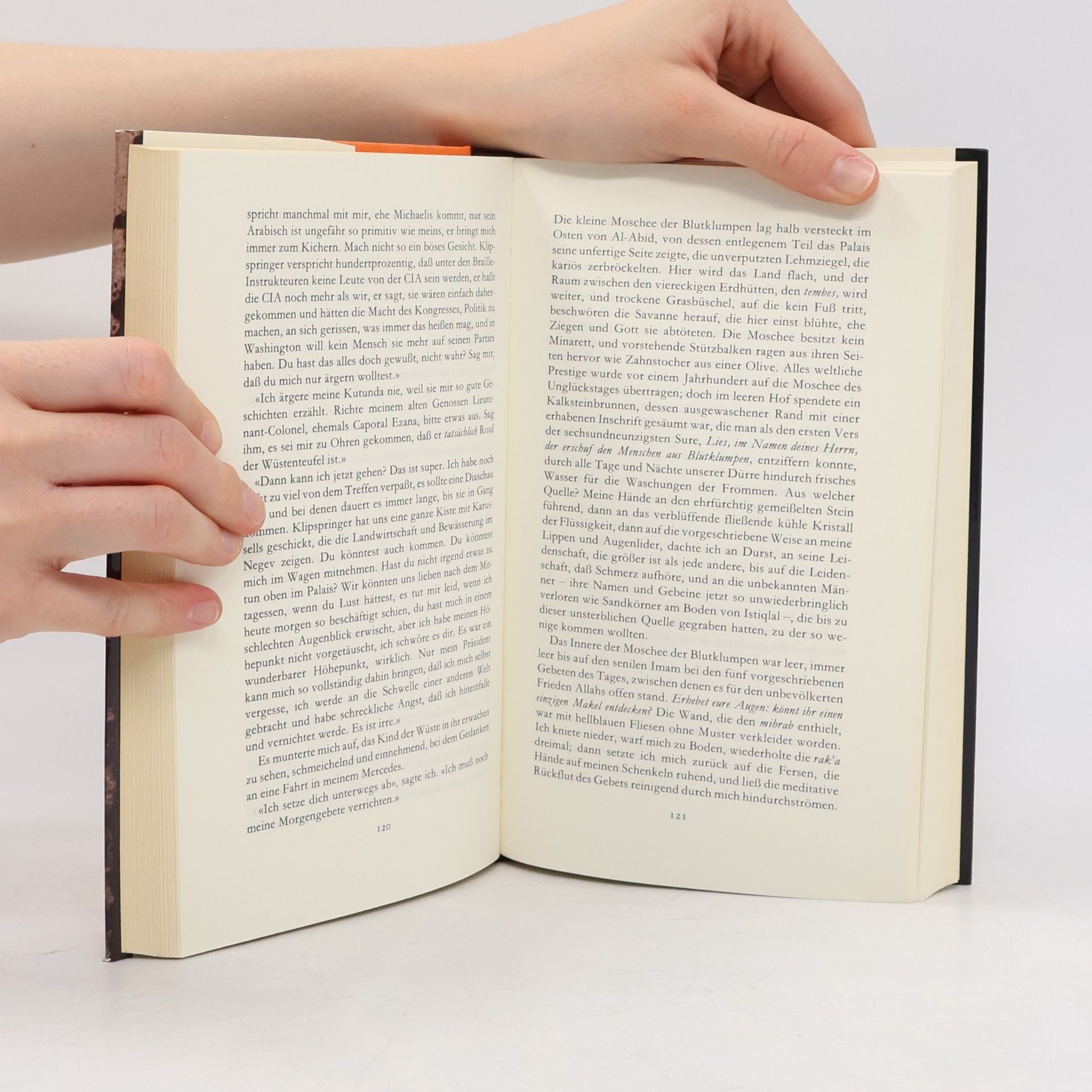 John Updike Der Coup