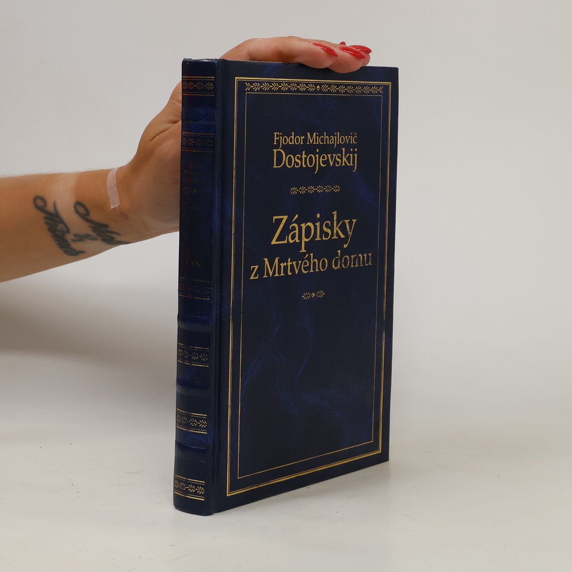 Fyodor Dostoyevsky Zápisky z Mrtvého domu