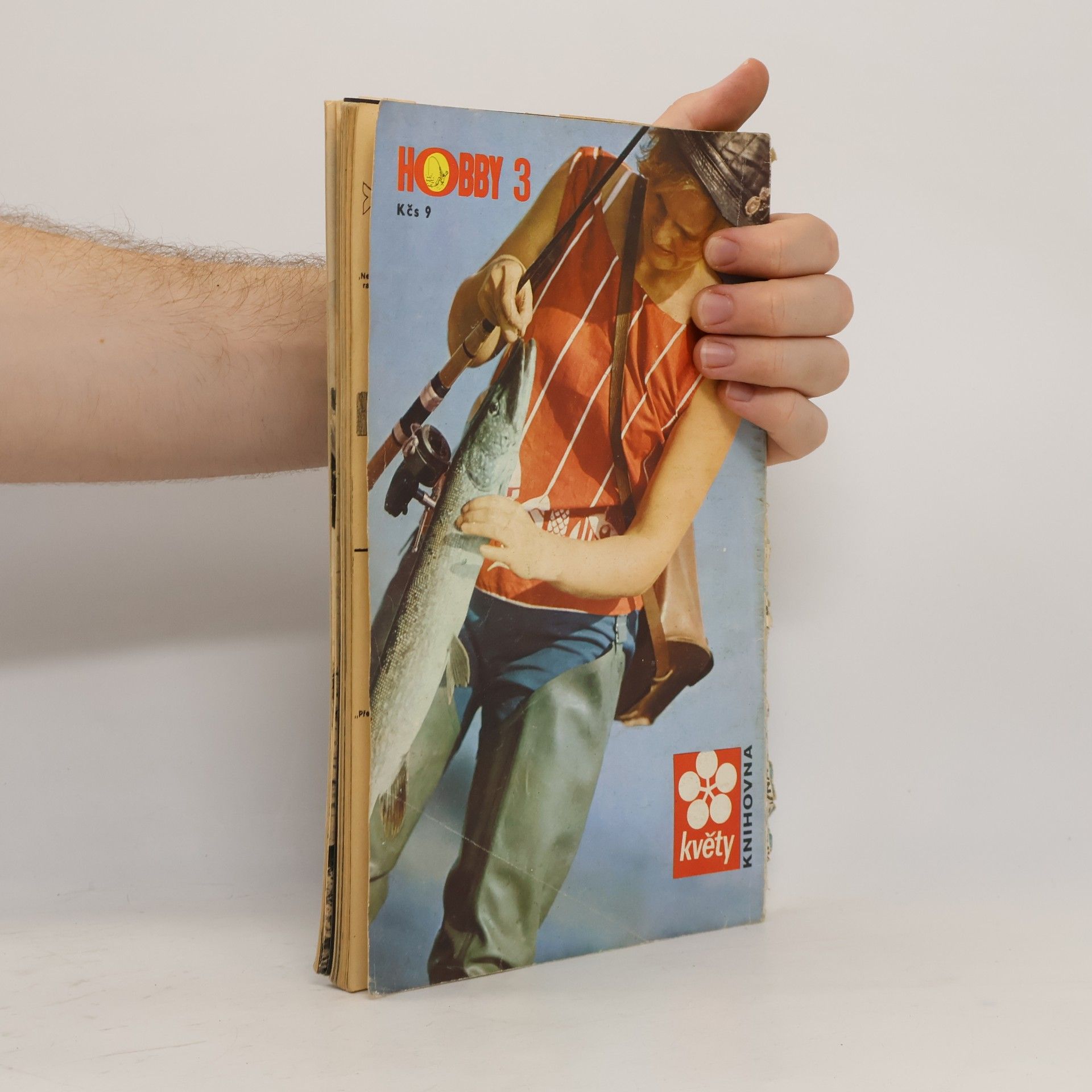 Kolektiv autorů Květy Hobby 3