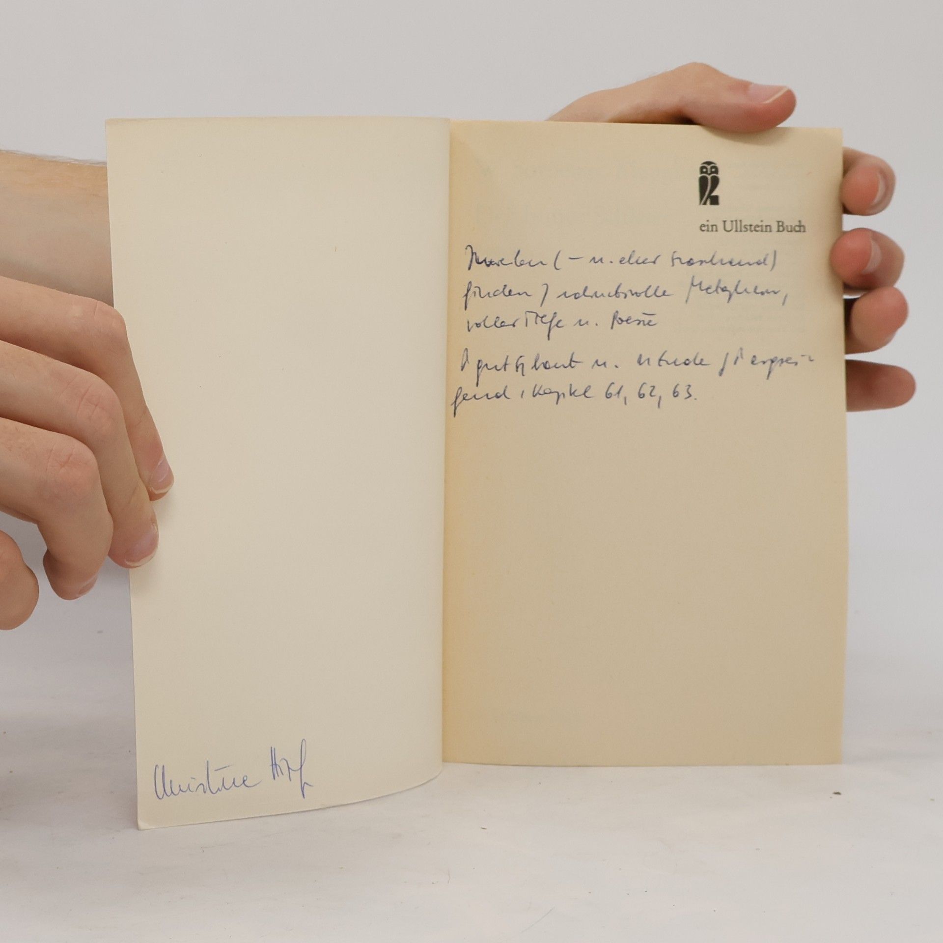 William Somerset Maugham Der bunte Schleier