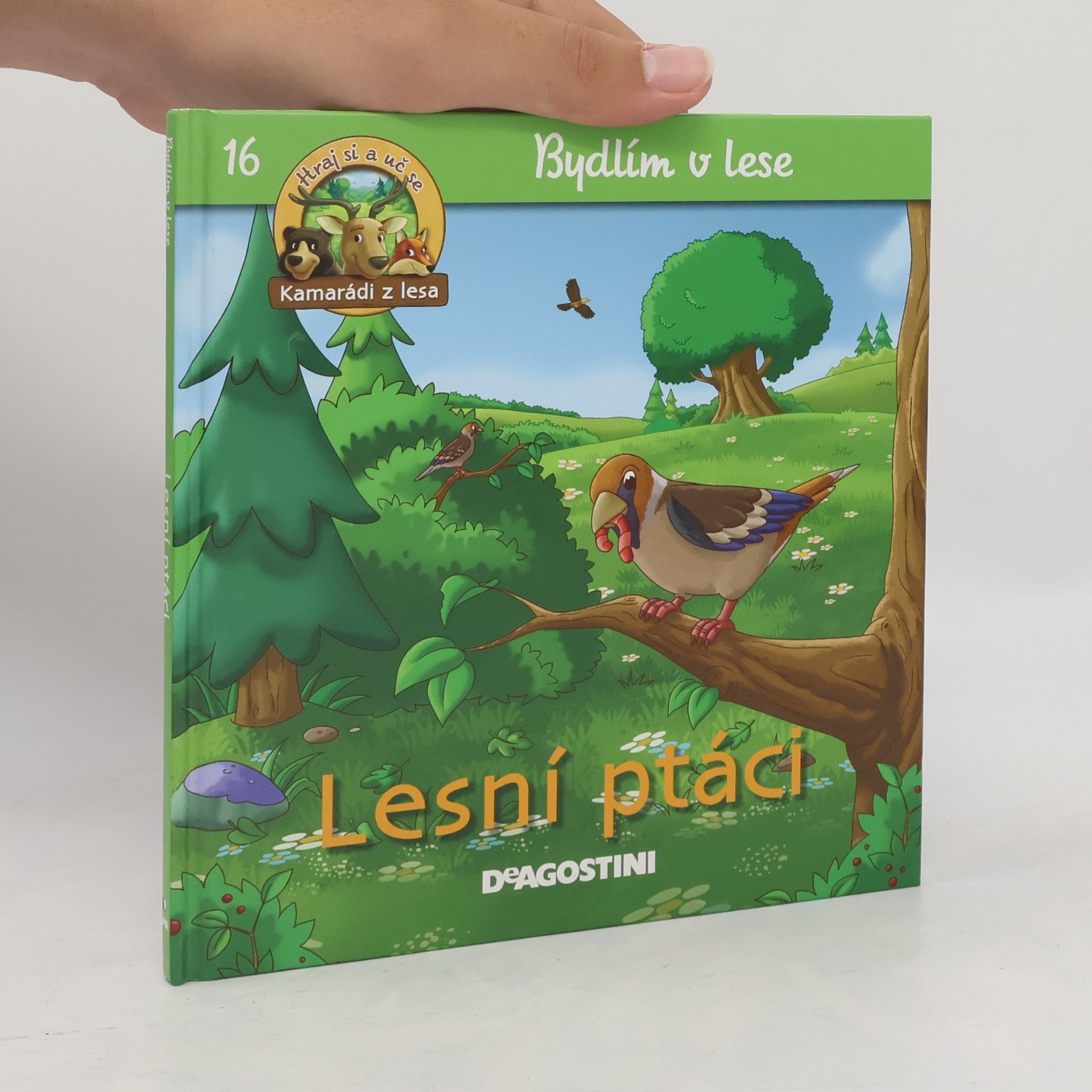 Petra Zavřelová Bydlím v lese 16. Lesní ptáci
