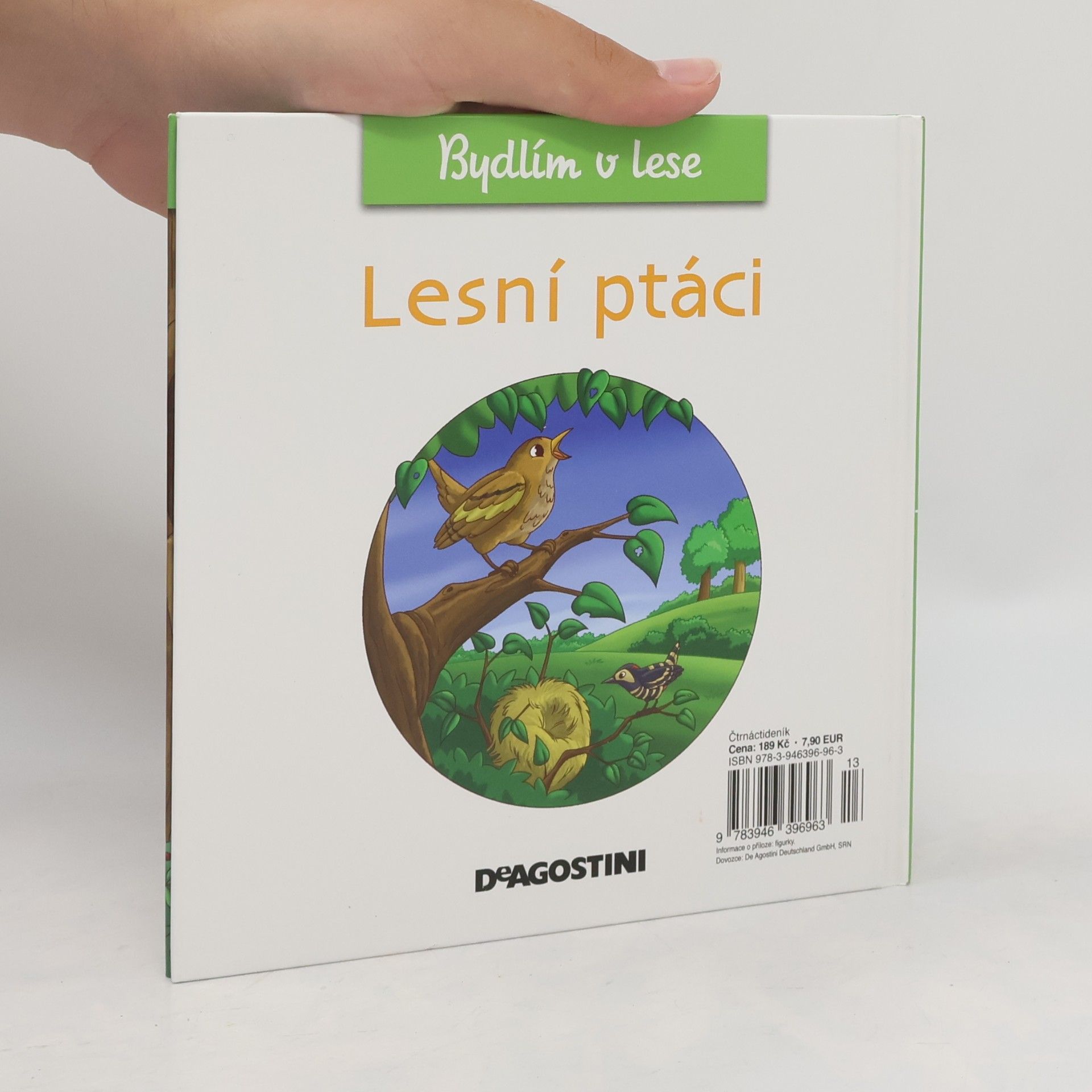 Petra Zavřelová Bydlím v lese 16. Lesní ptáci