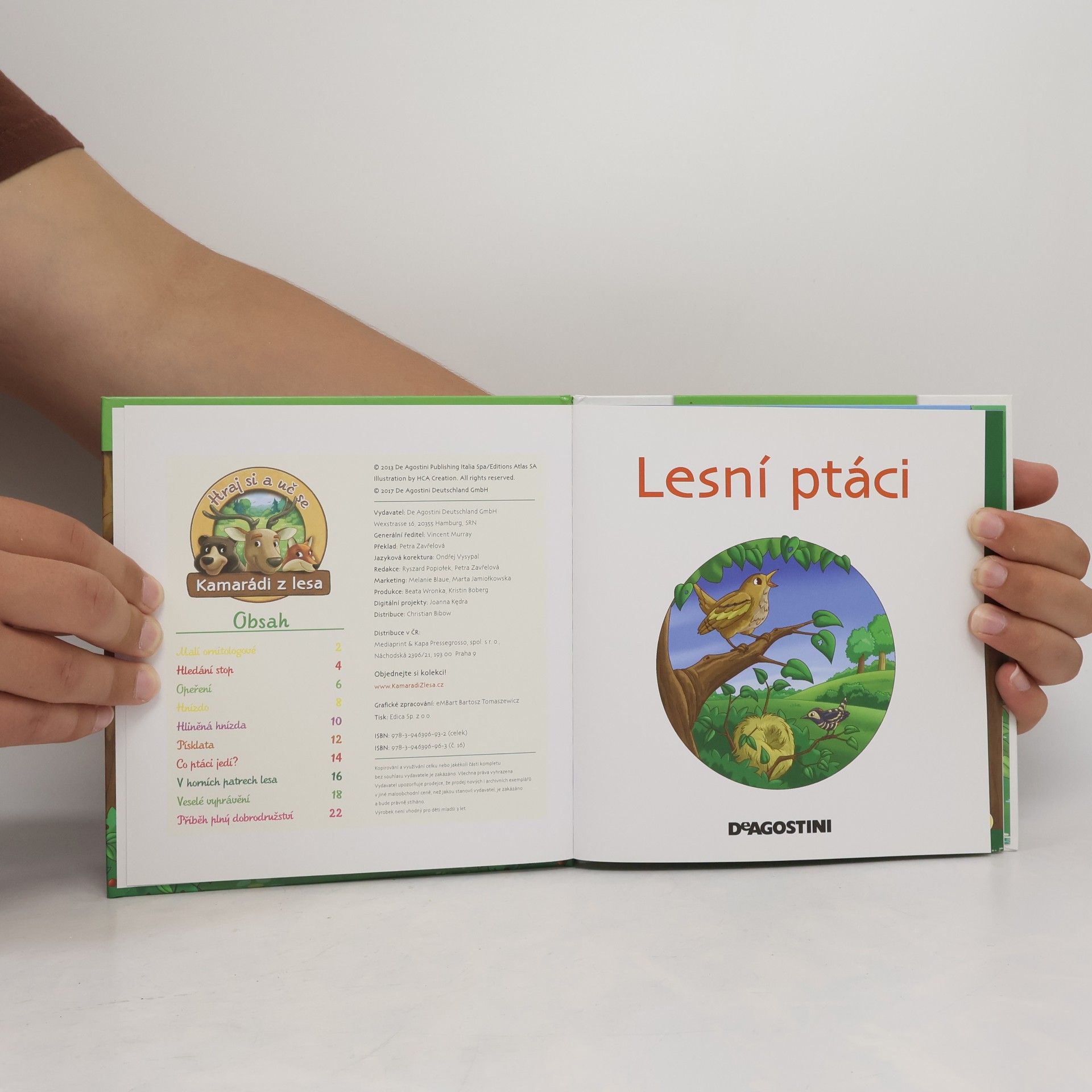 Petra Zavřelová Bydlím v lese 16. Lesní ptáci