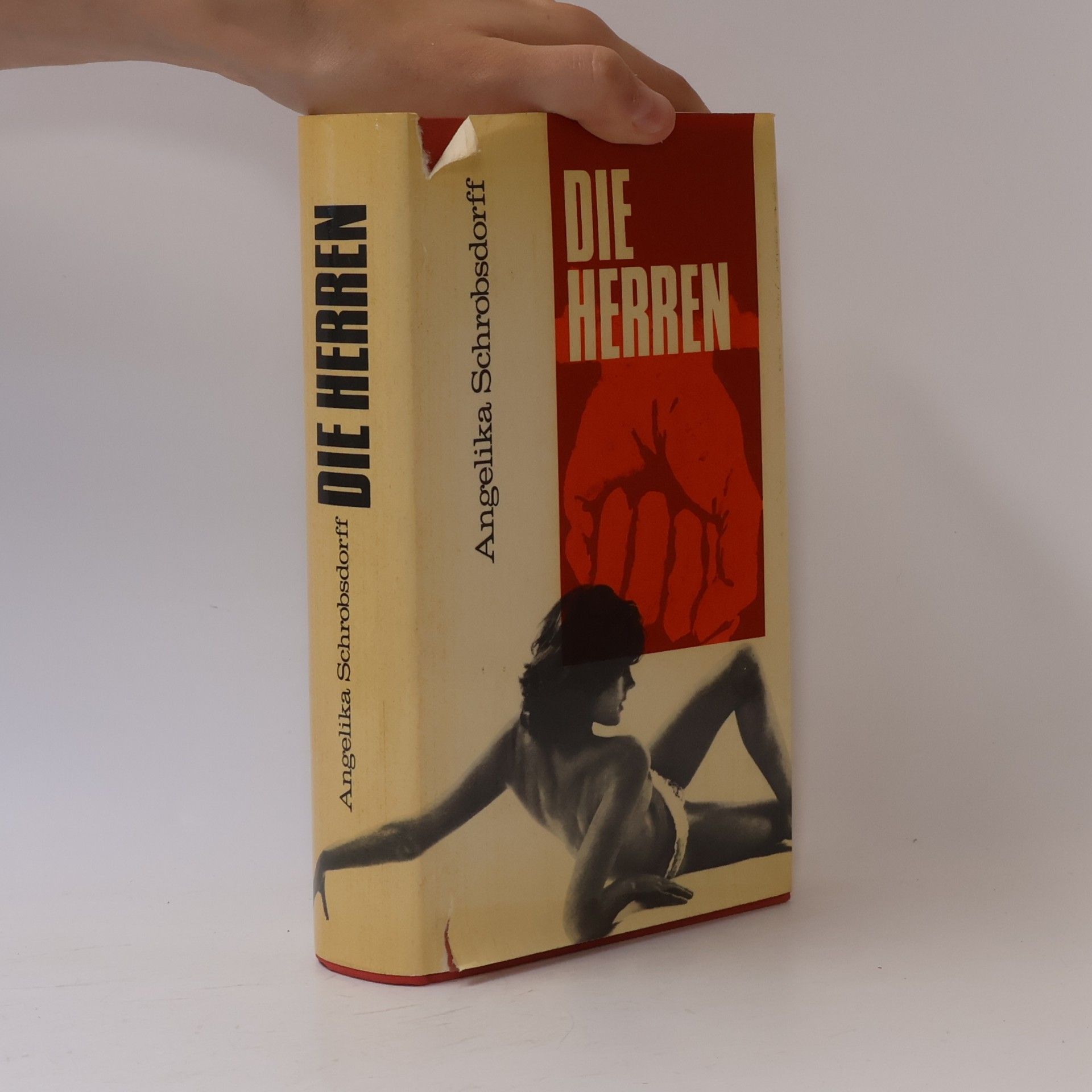 Angelika Schrobsdorff Die Herren