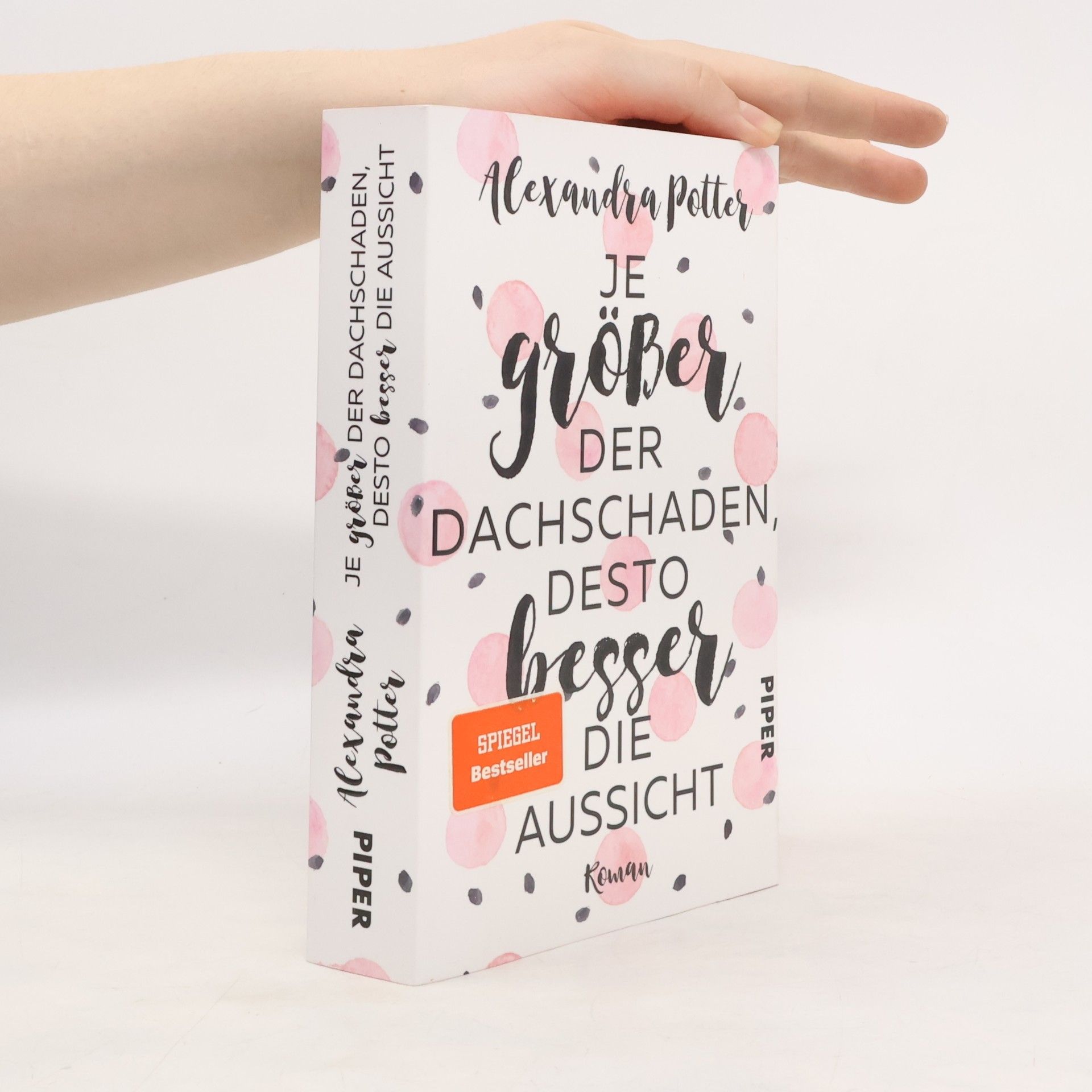 Alexandra Potter Je größer der Dachschaden, desto besser die Aussicht