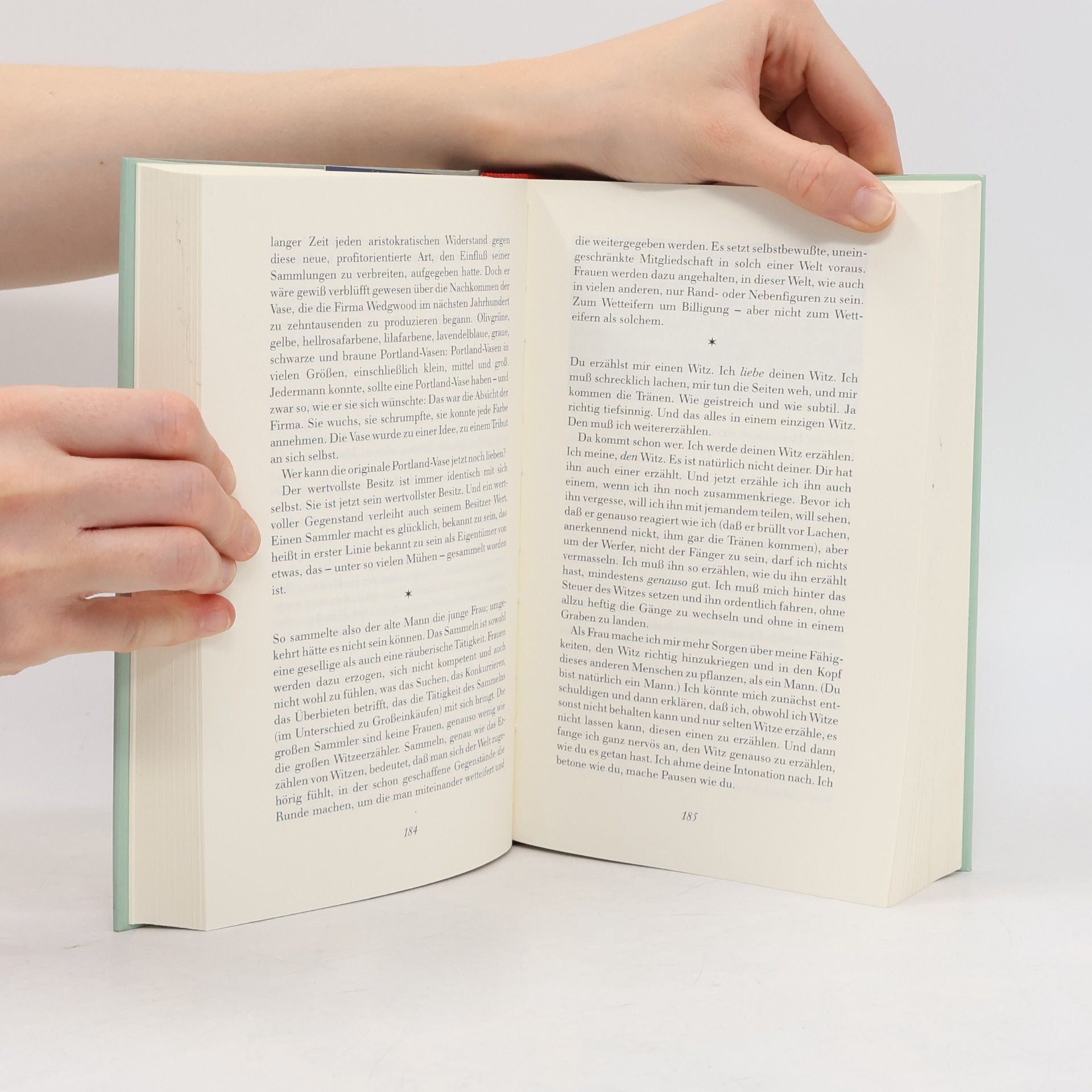 Susan Sontag Der Liebhaber des Vulkans